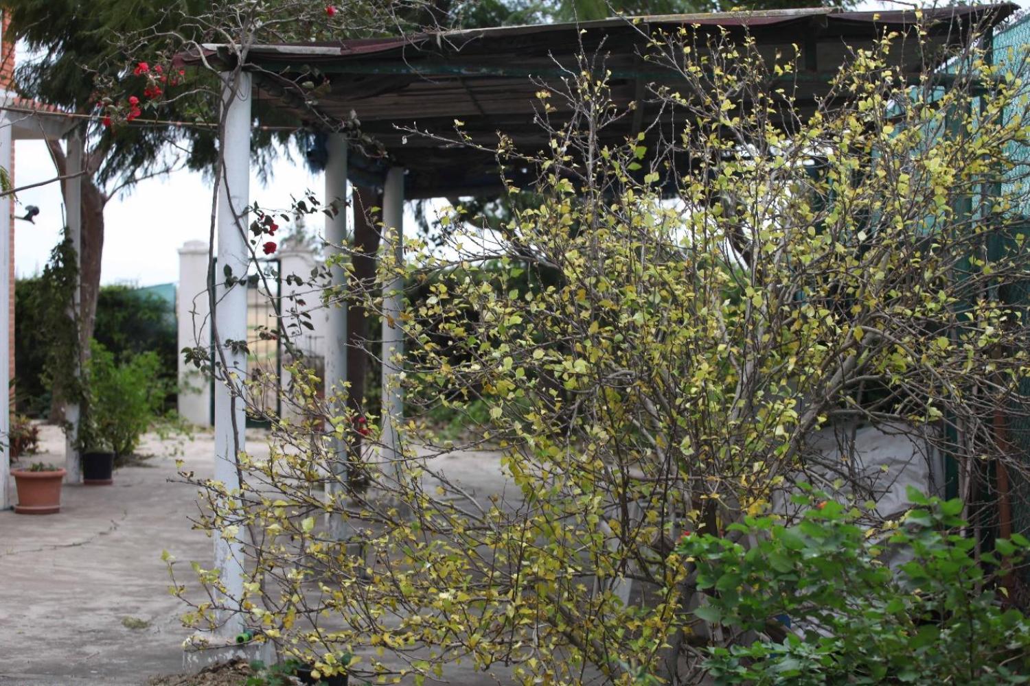  te koop villa Sollana Ribera Baixa 69