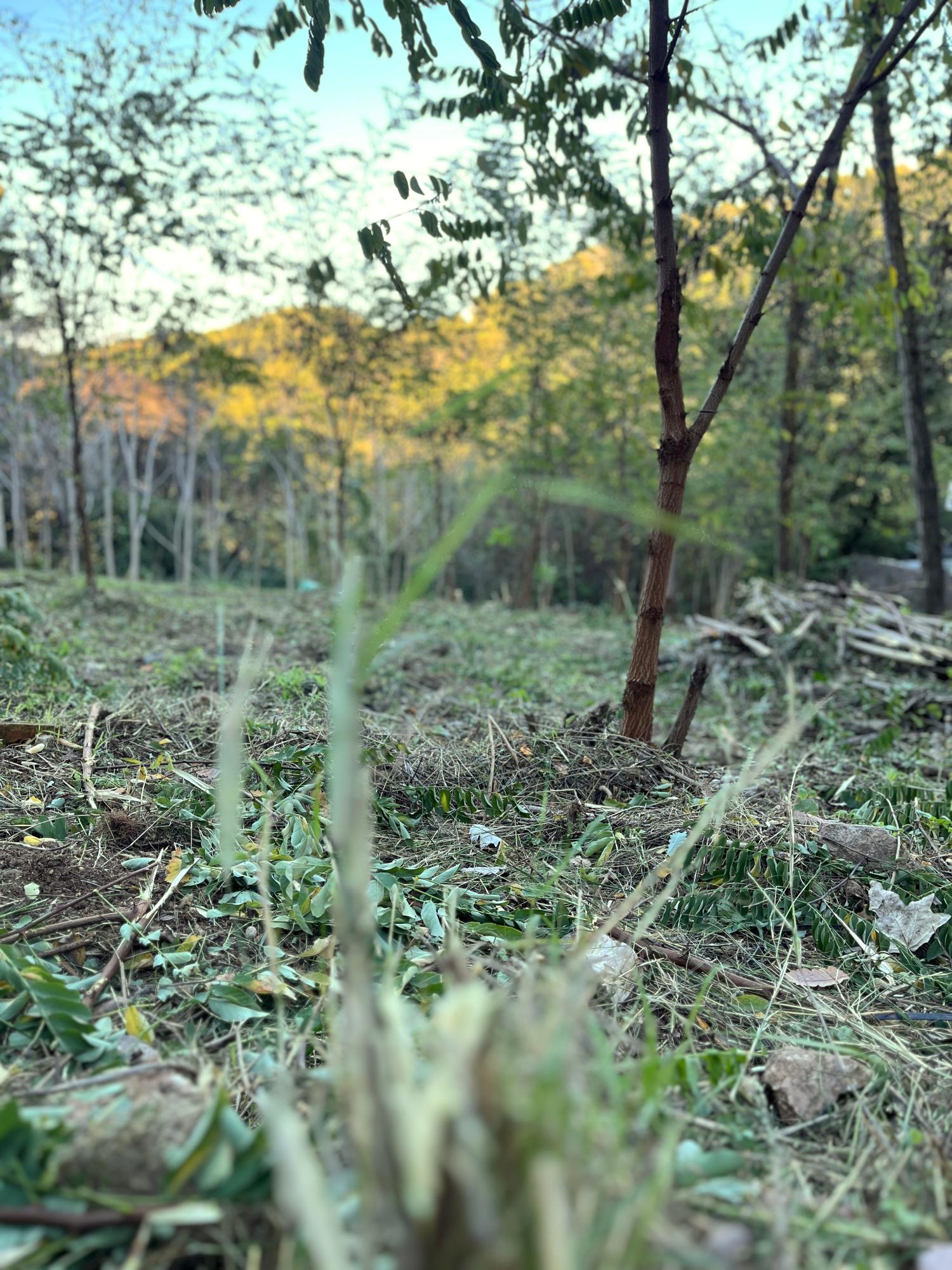  te koop perceel Les Planes Vallès Occidental 12