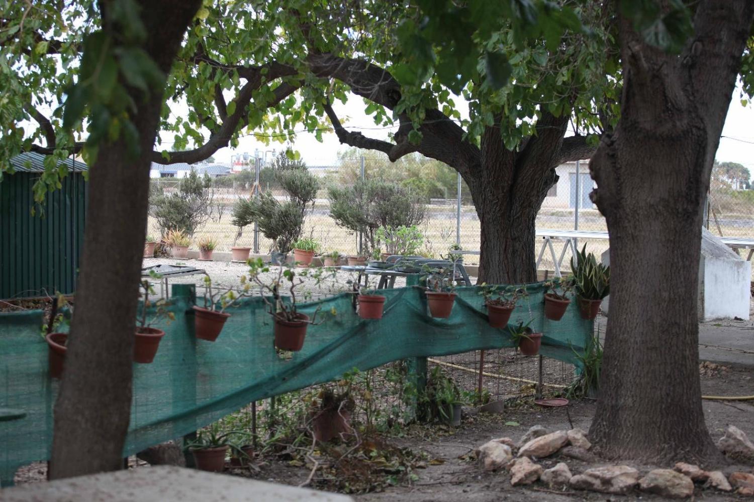  te koop villa Sollana Ribera Baixa 79