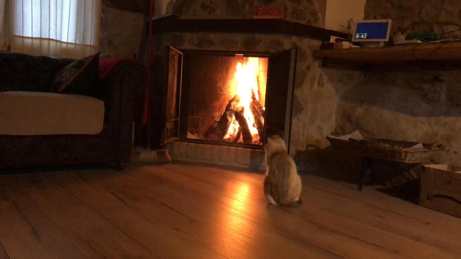  te koop boerderij Casas Del Castañar Valle Del Jerte 3