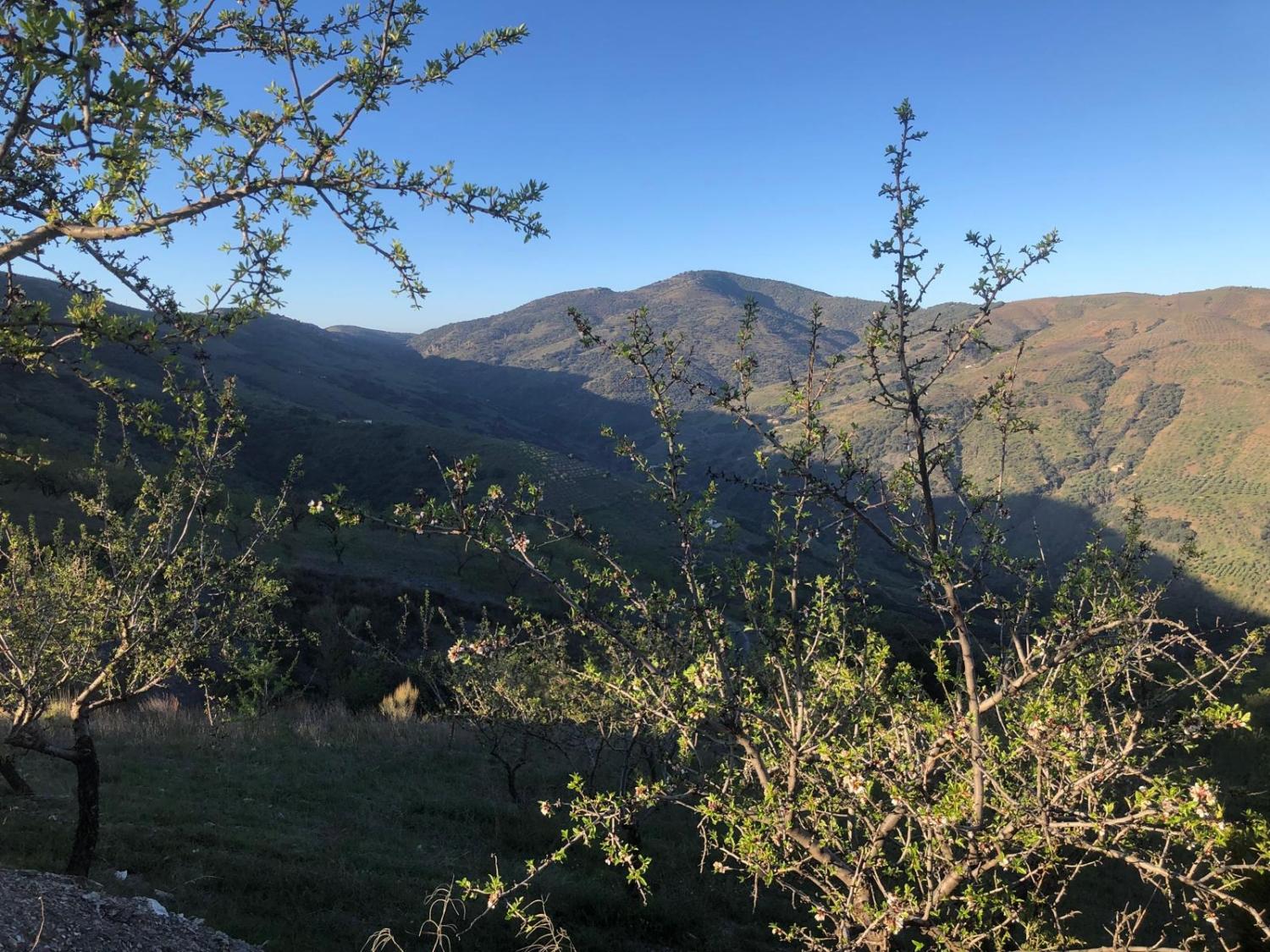  te koop huis Torvizcón Alpujarra Granadina 9