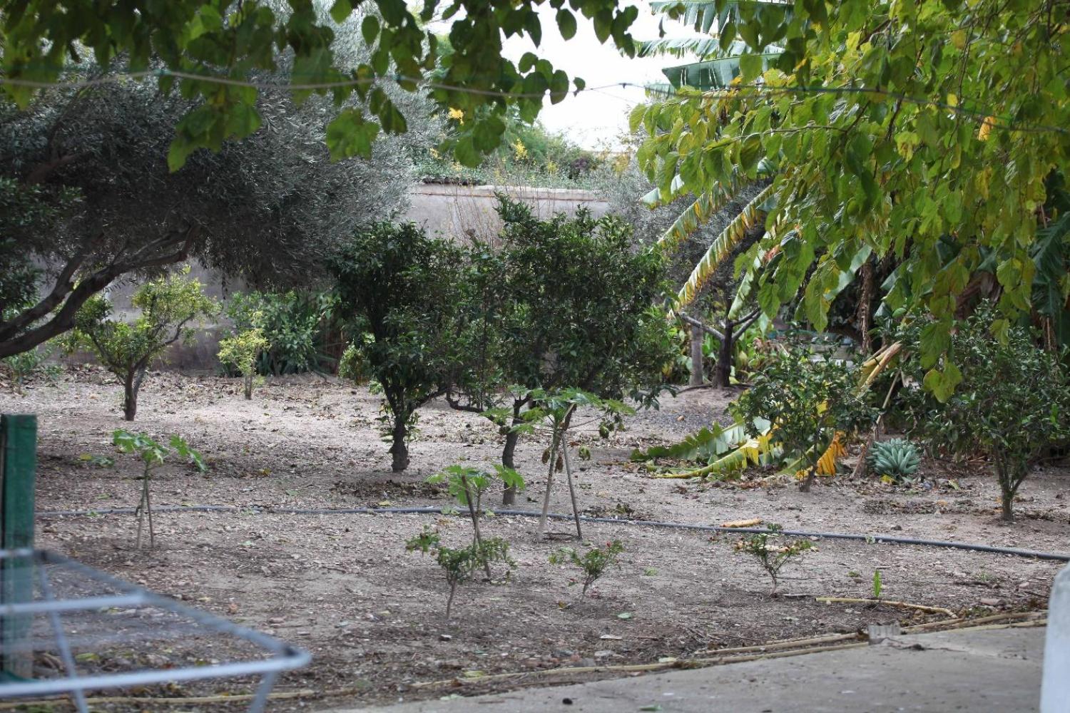  te koop villa Sollana Ribera Baixa 73