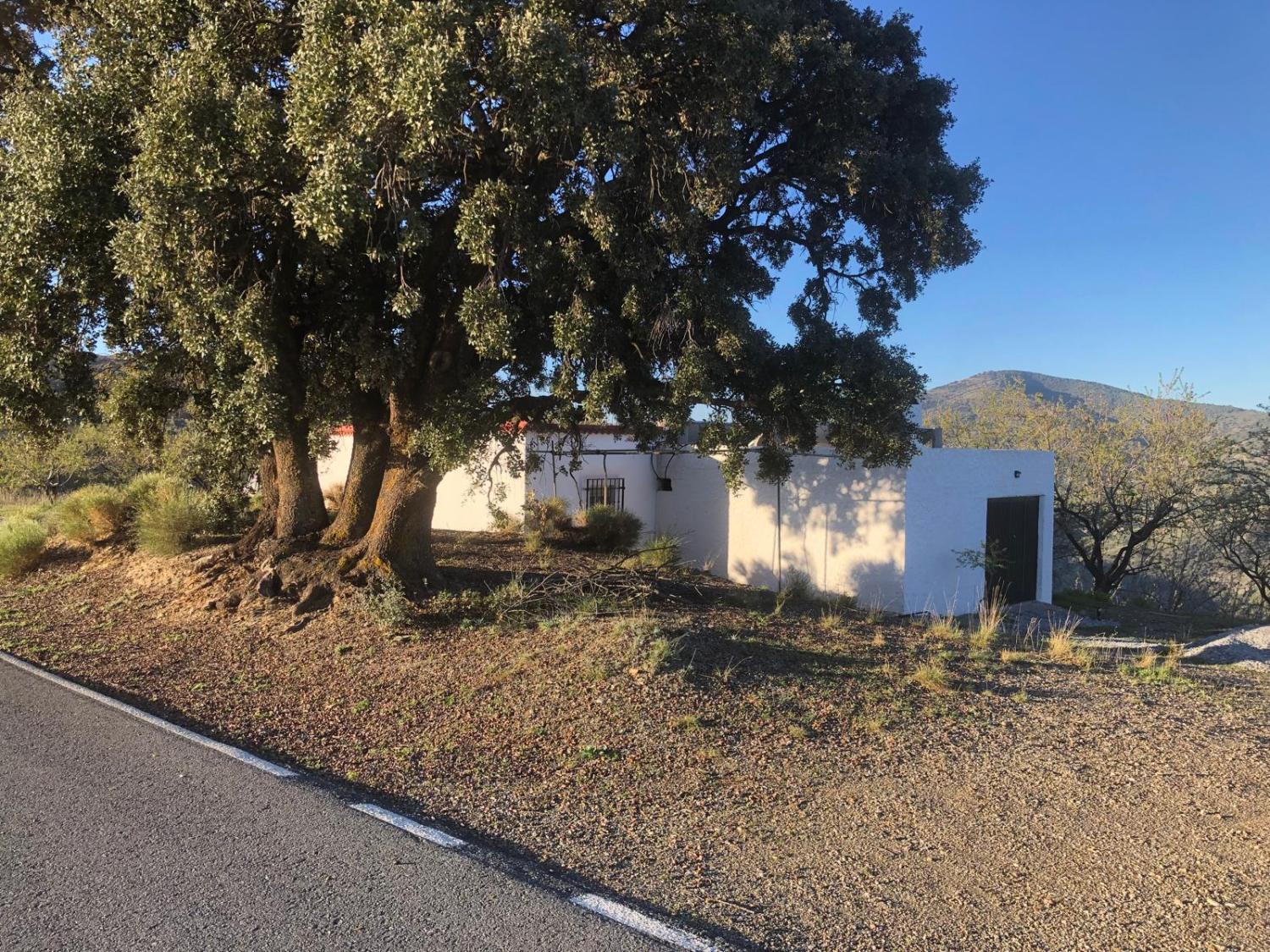  te koop huis Torvizcón Alpujarra Granadina 1