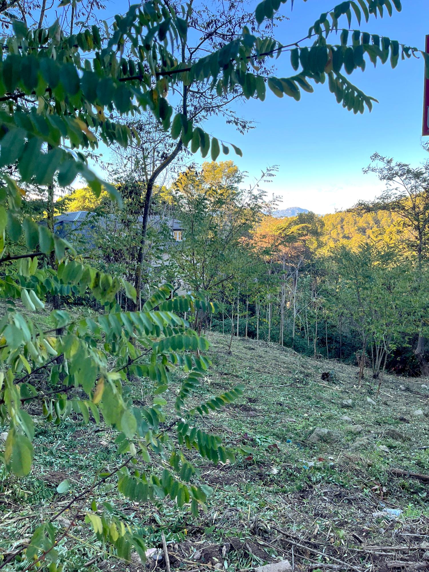  te koop perceel Les Planes Vallès Occidental 4