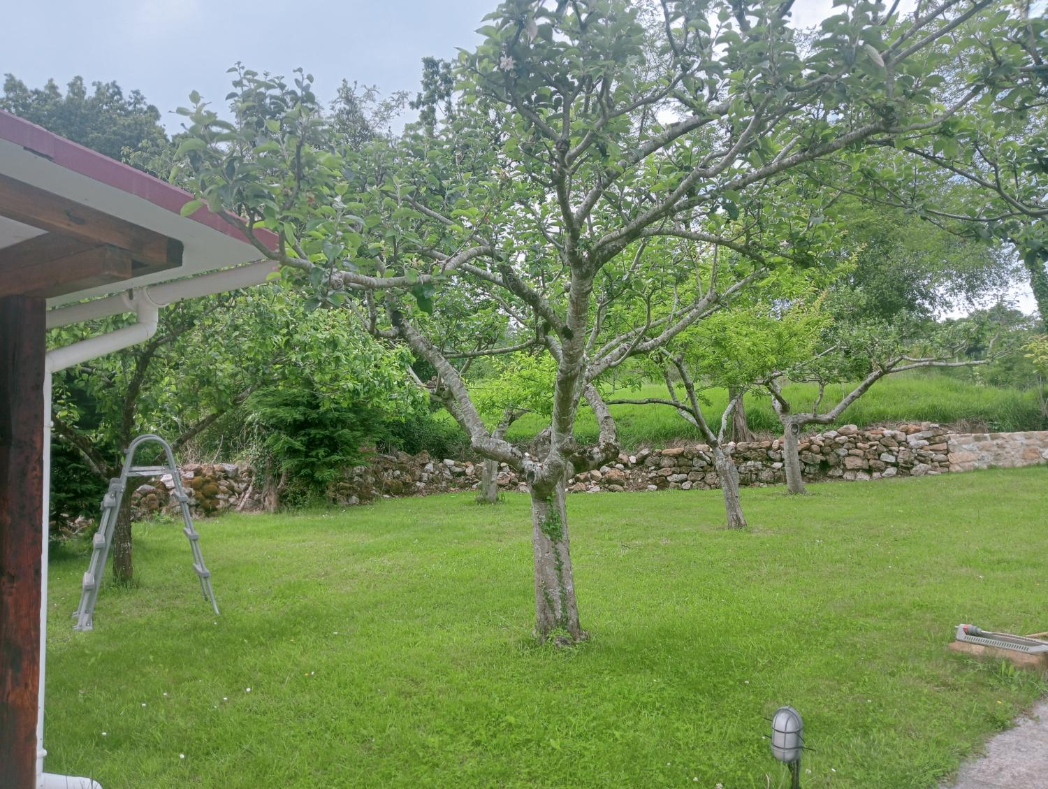  te koop huis Mercadal Besaya 1