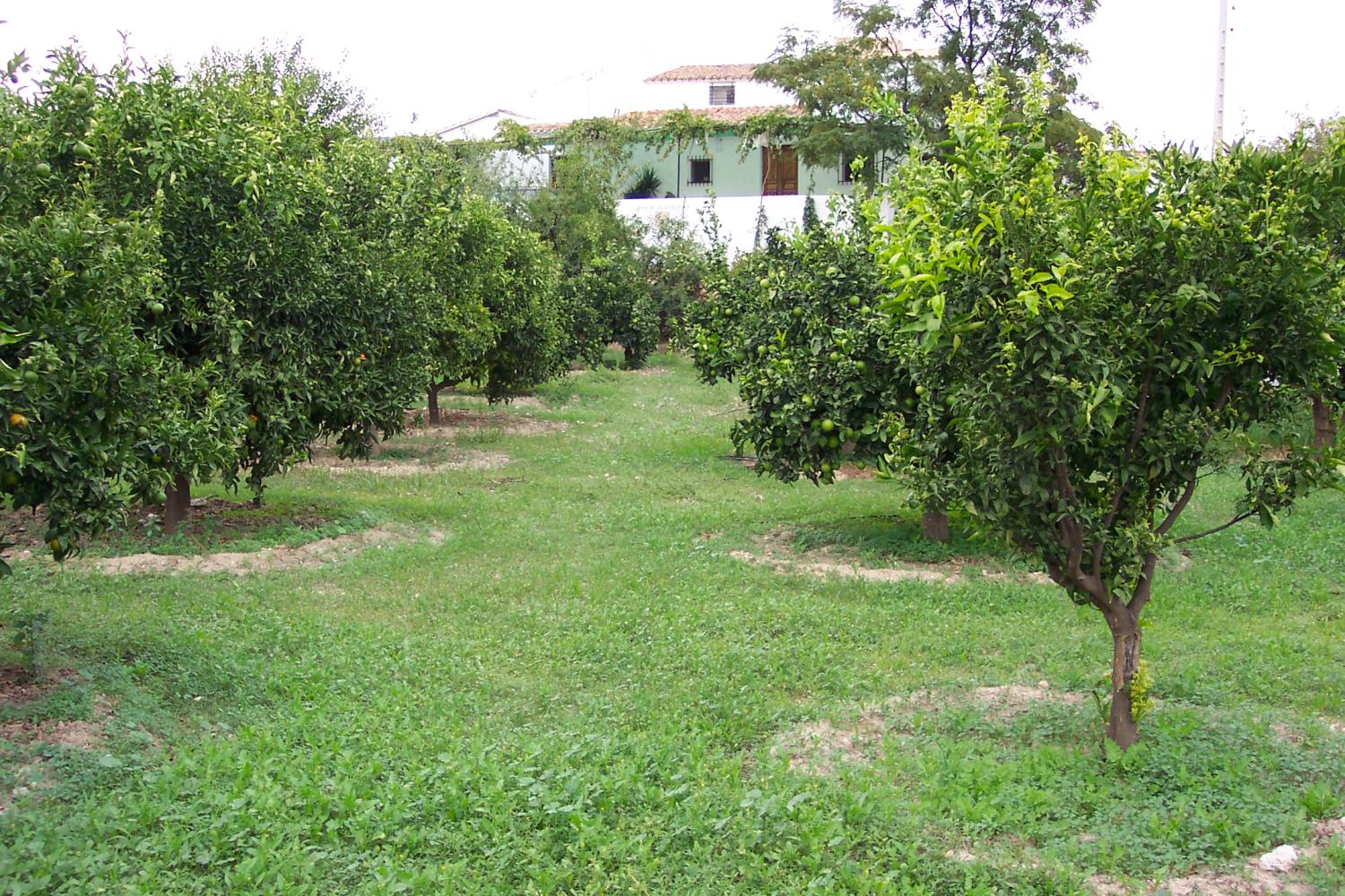  te koop boerderij Lubrín Levante Almeriense 1