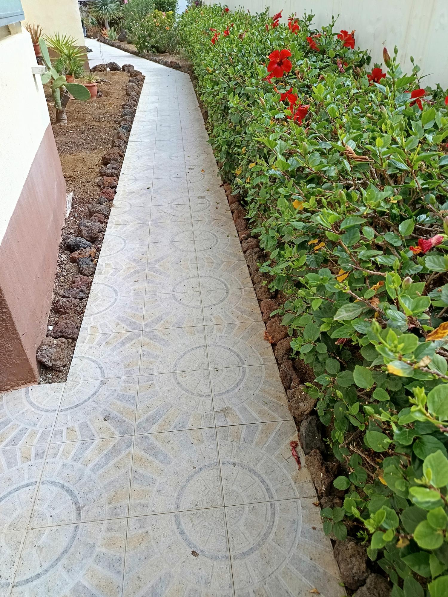  te koop appartement Las Palmas Centro 35004 Palmas De Gran Canaria (Las) 19