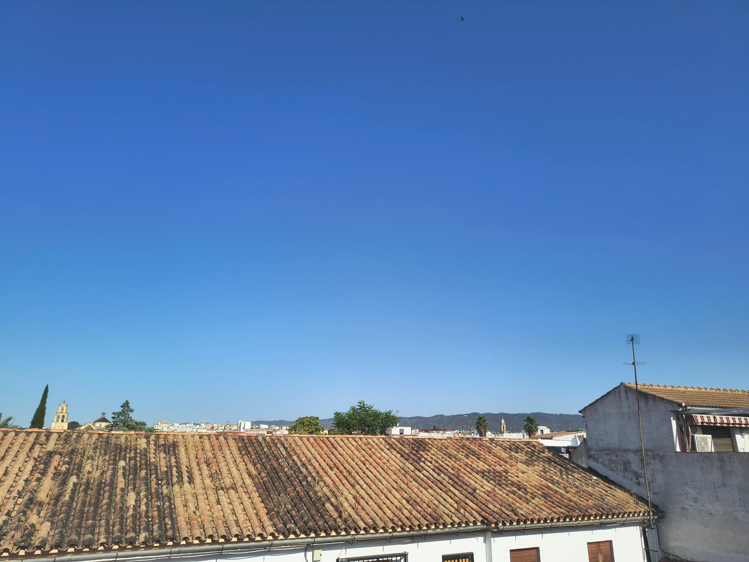  te koop duplex Córdoba Centro 14002 Córdoba 33