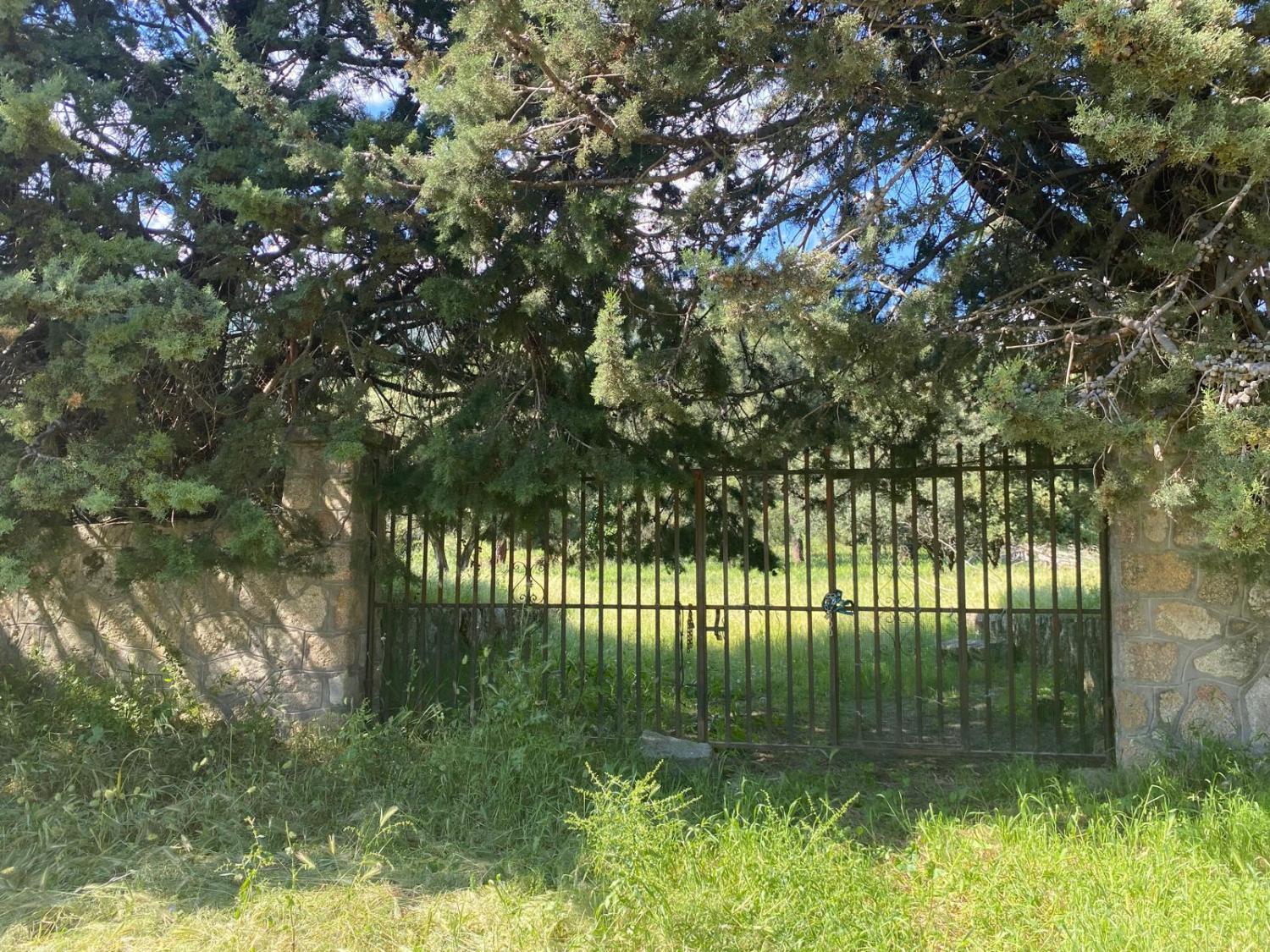  te koop perceel Sotillo De La Adrada Valle Del Tiétar 2