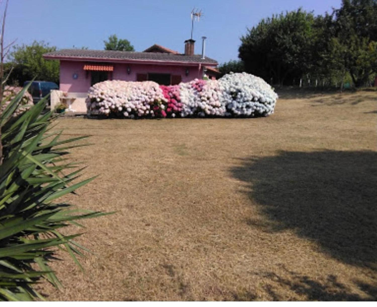  te koop boerderij Arguero Gijón 9