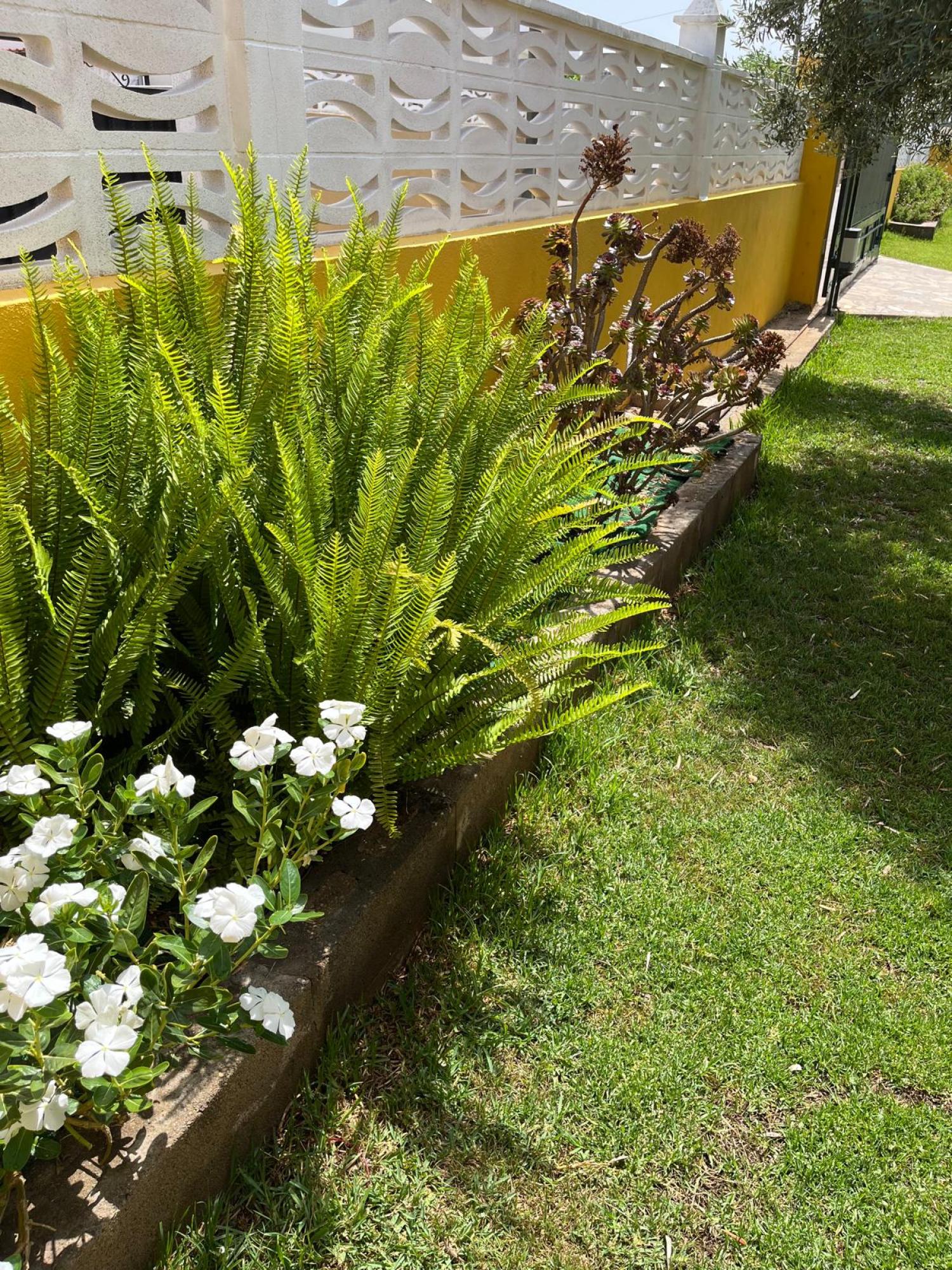  te koop villa Grao Plana Alta 47