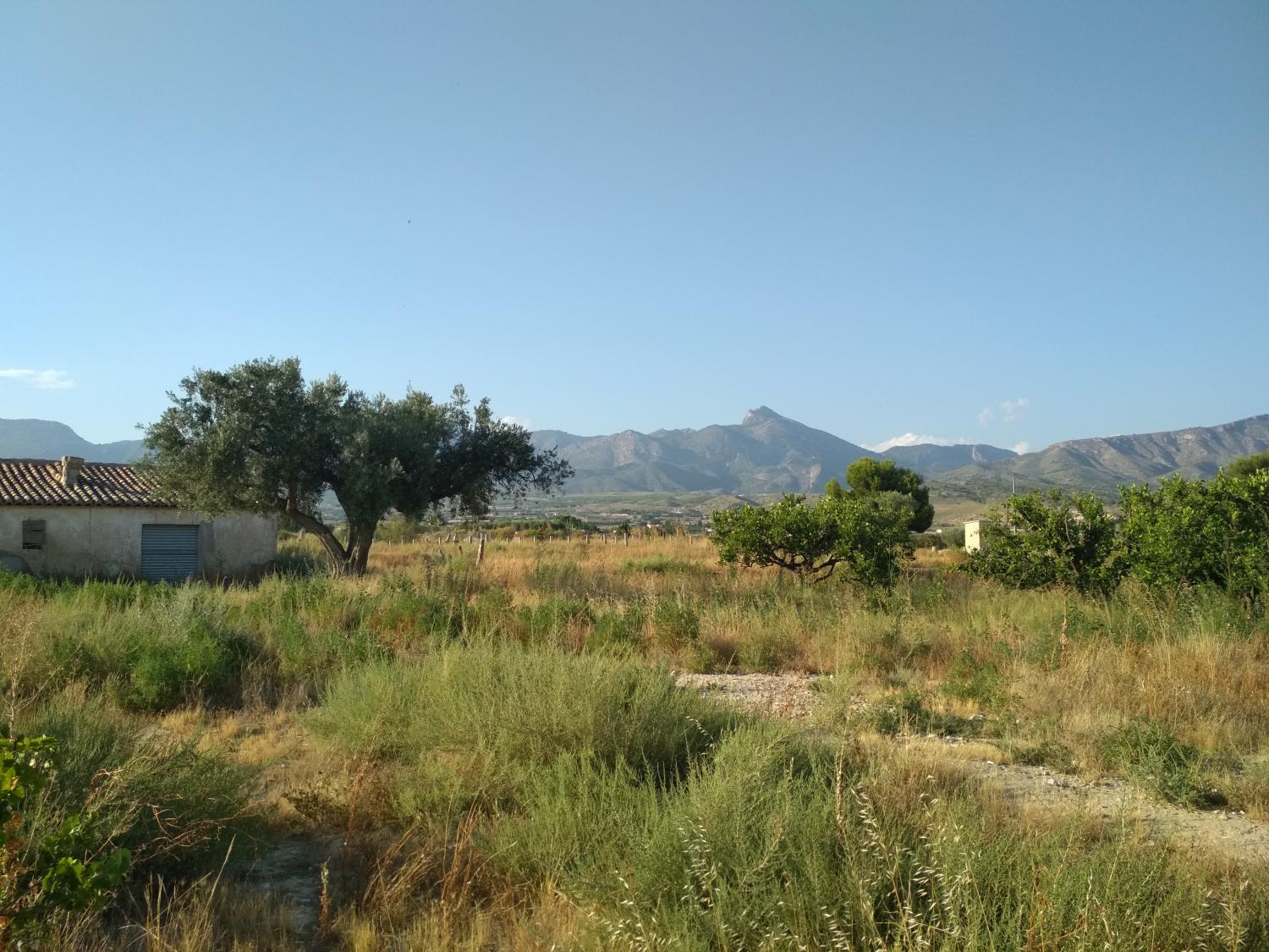  te koop perceel Agost Alacantí 12
