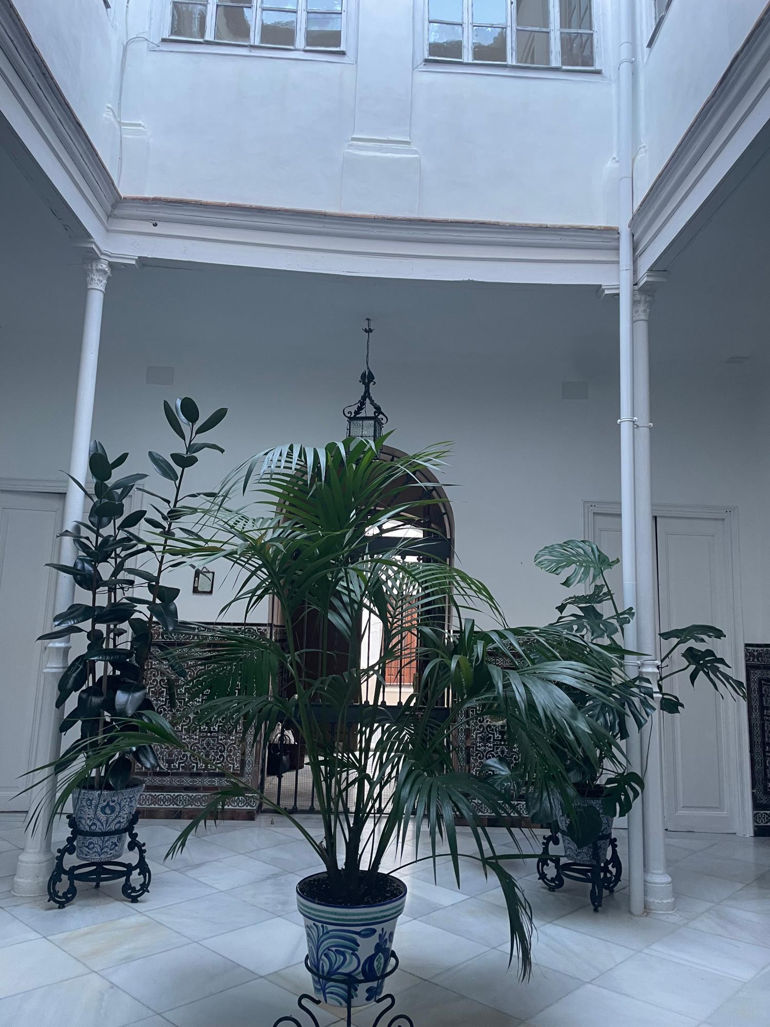  te koop huis Écija Écija 24