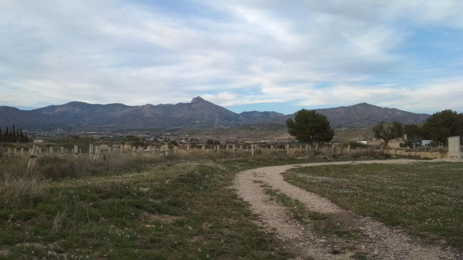  te koop perceel Agost Alacantí 16