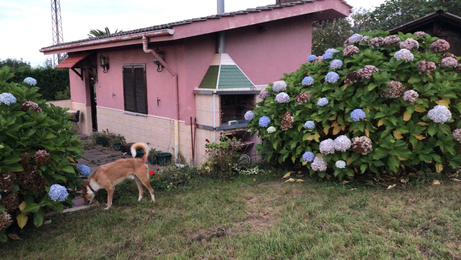  te koop boerderij Arguero Gijón 15