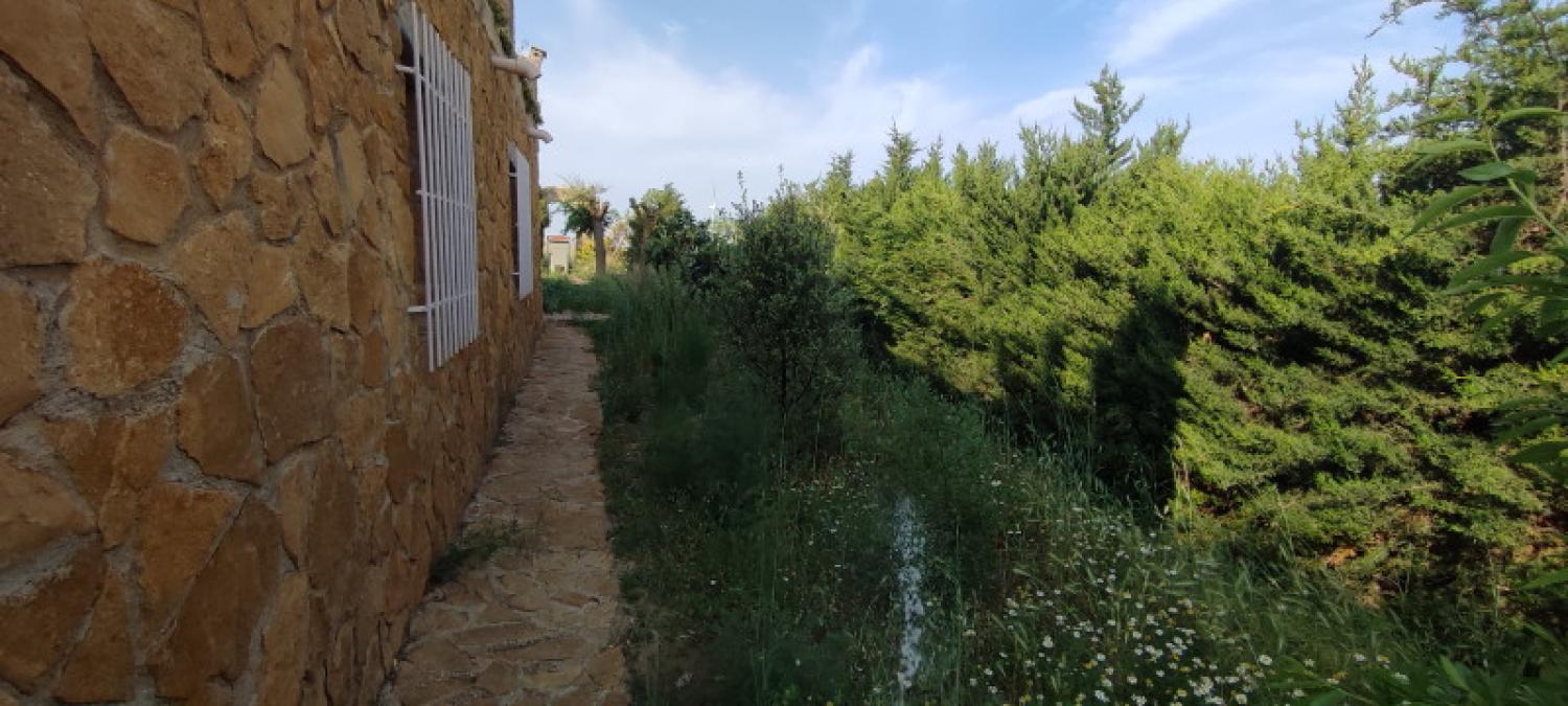  te koop huis La Higuera Monte Ibérico Almansa 25