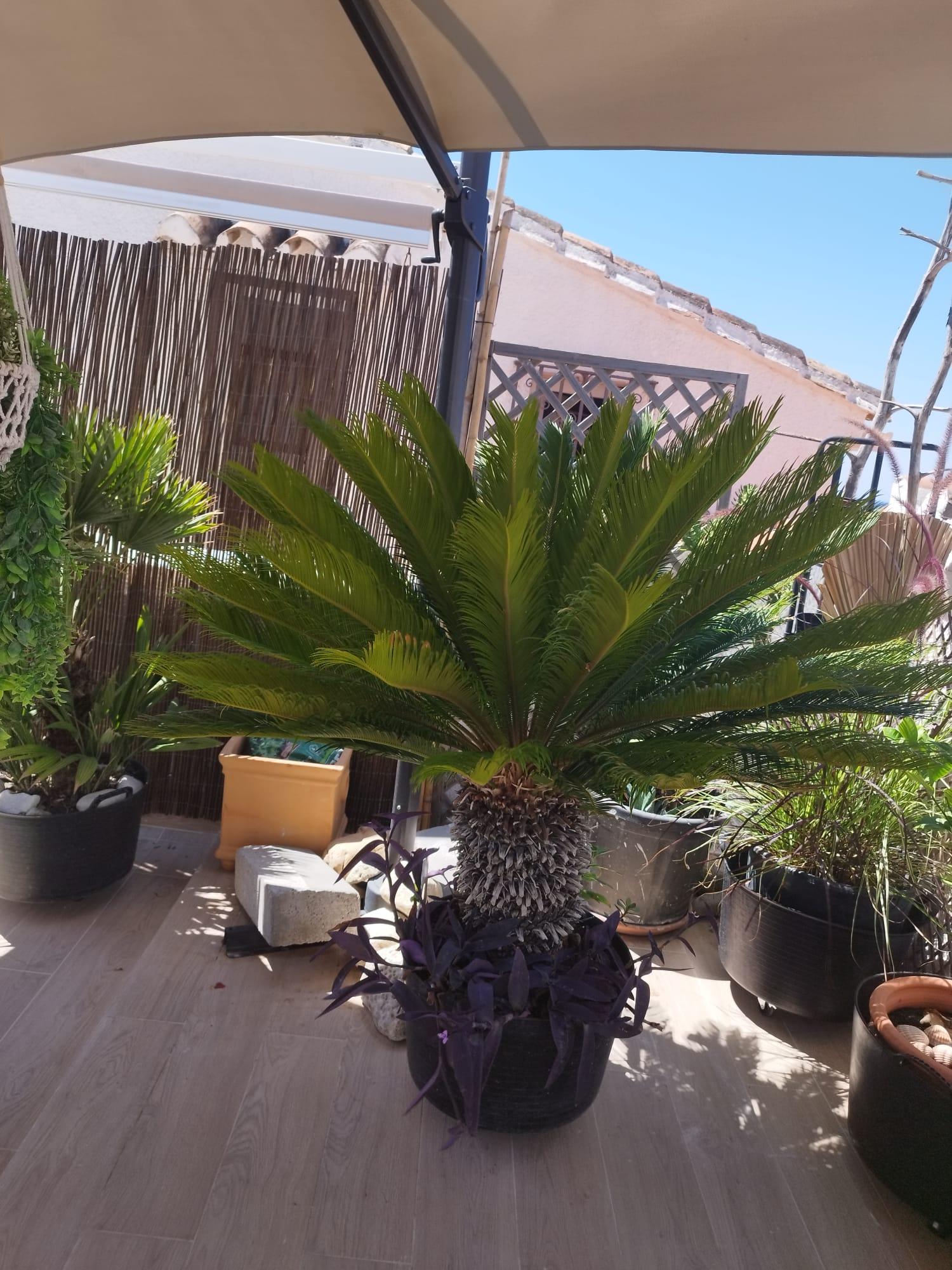  te koop huis Estepona Costa Del Sol Occidental 10