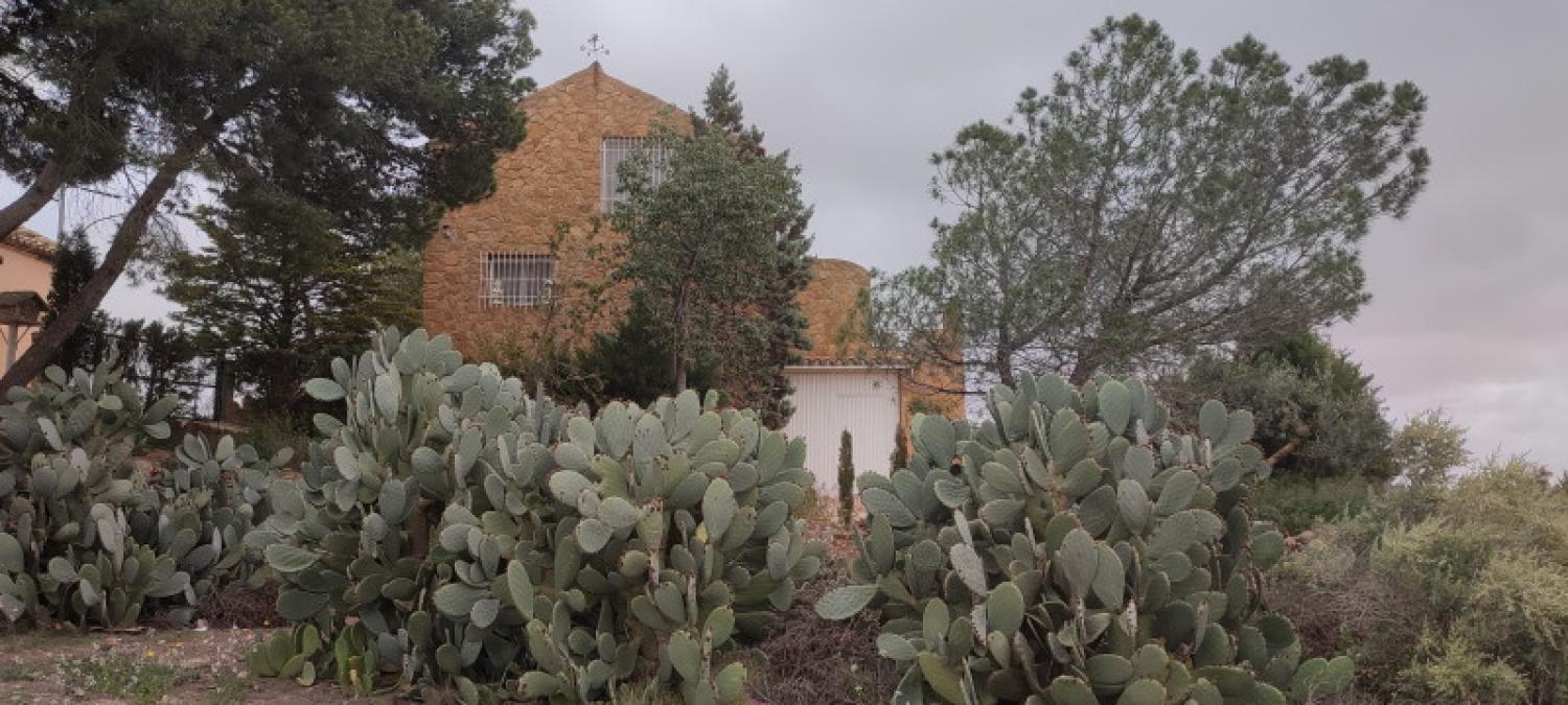  te koop huis La Higuera Monte Ibérico Almansa 5