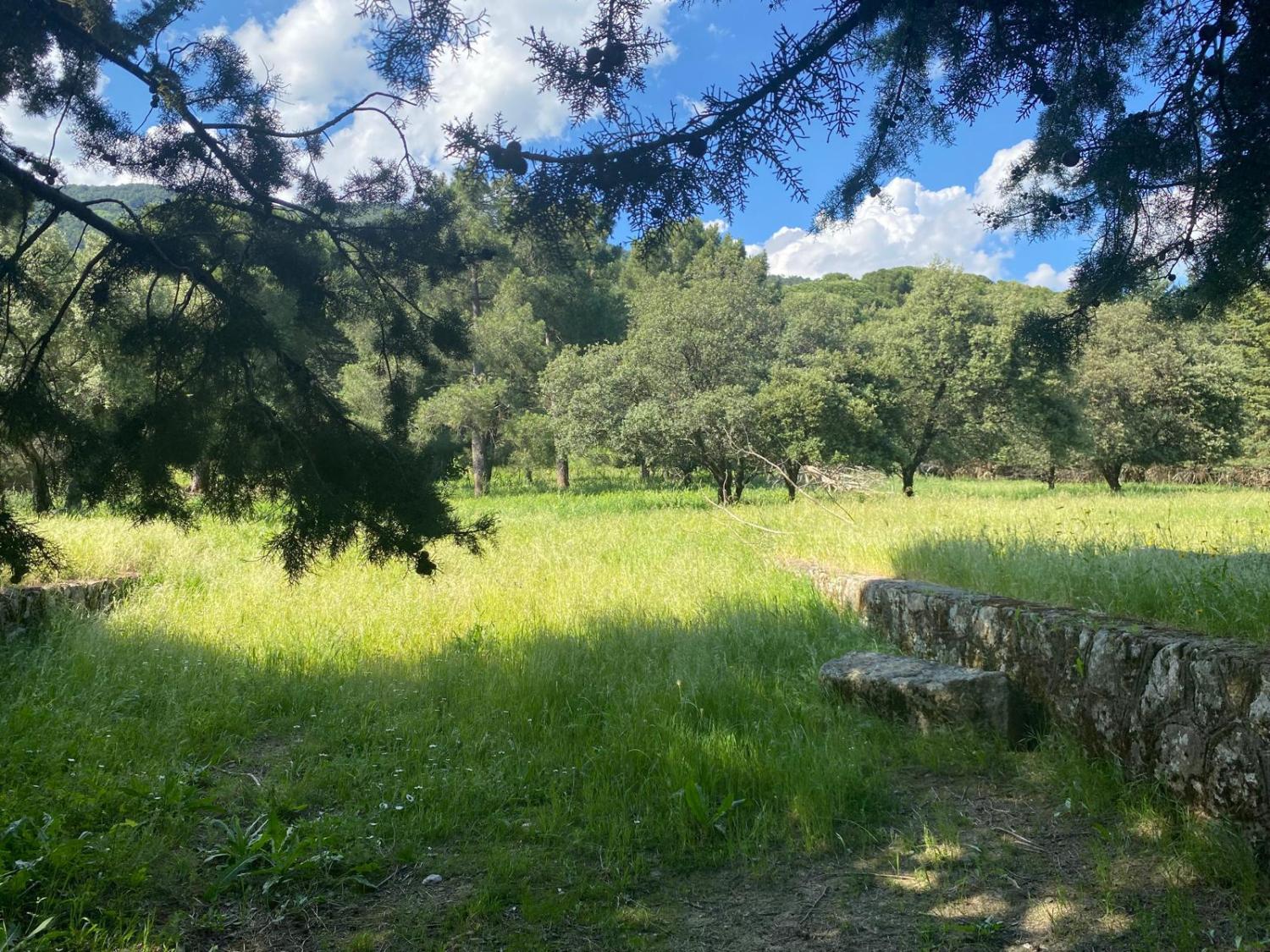  te koop perceel Sotillo De La Adrada Valle Del Tiétar 1