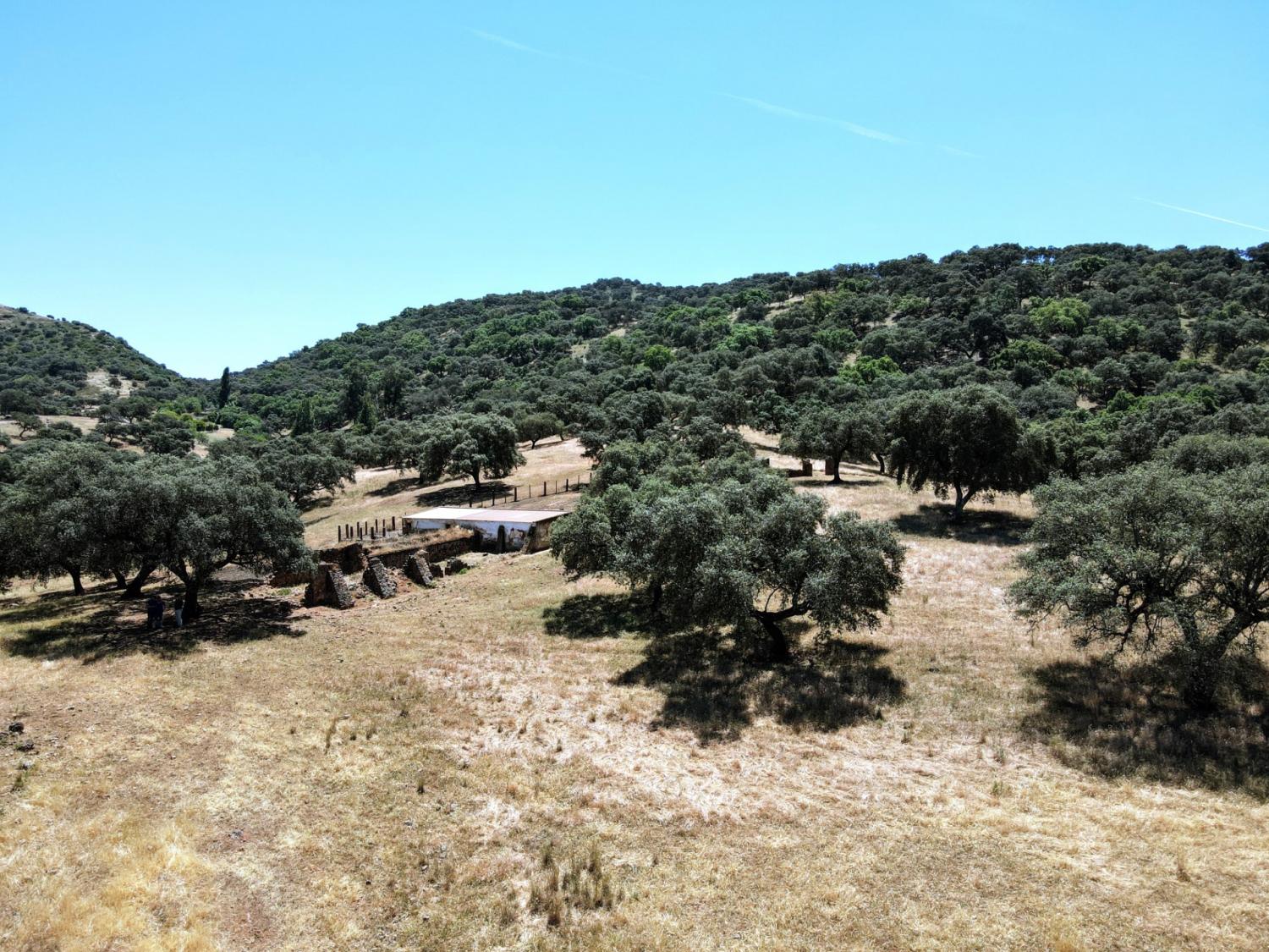  te koop boerderij Cazalla De La Sierra Sierra Norte 7
