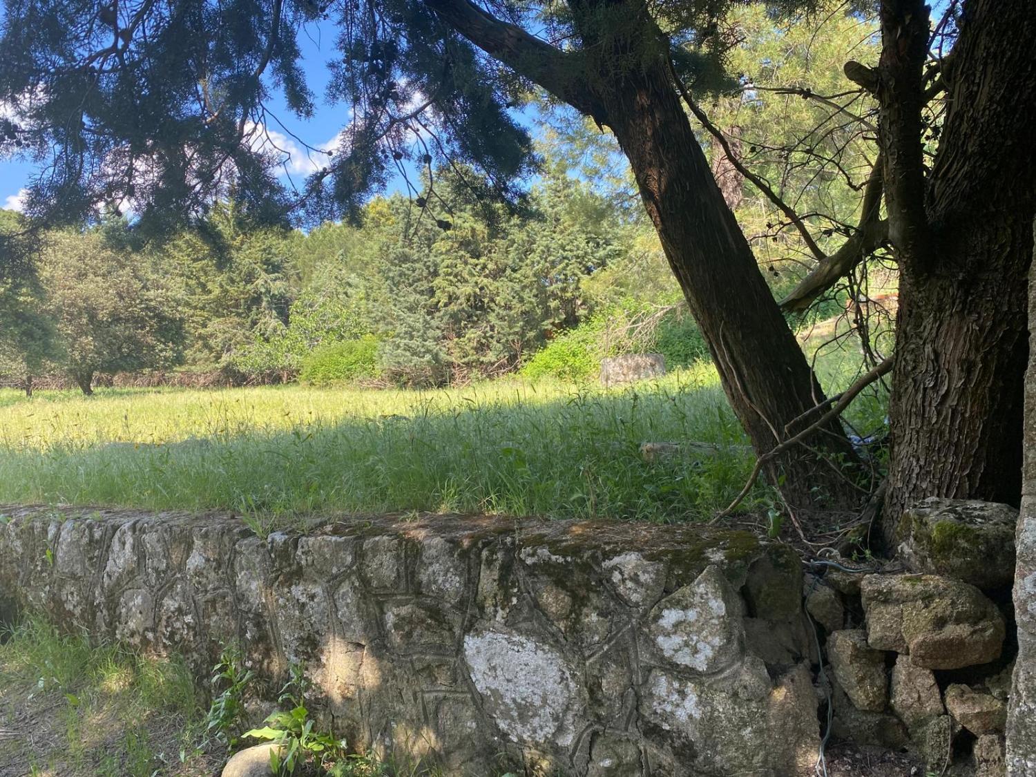  te koop perceel Sotillo De La Adrada Valle Del Tiétar 4