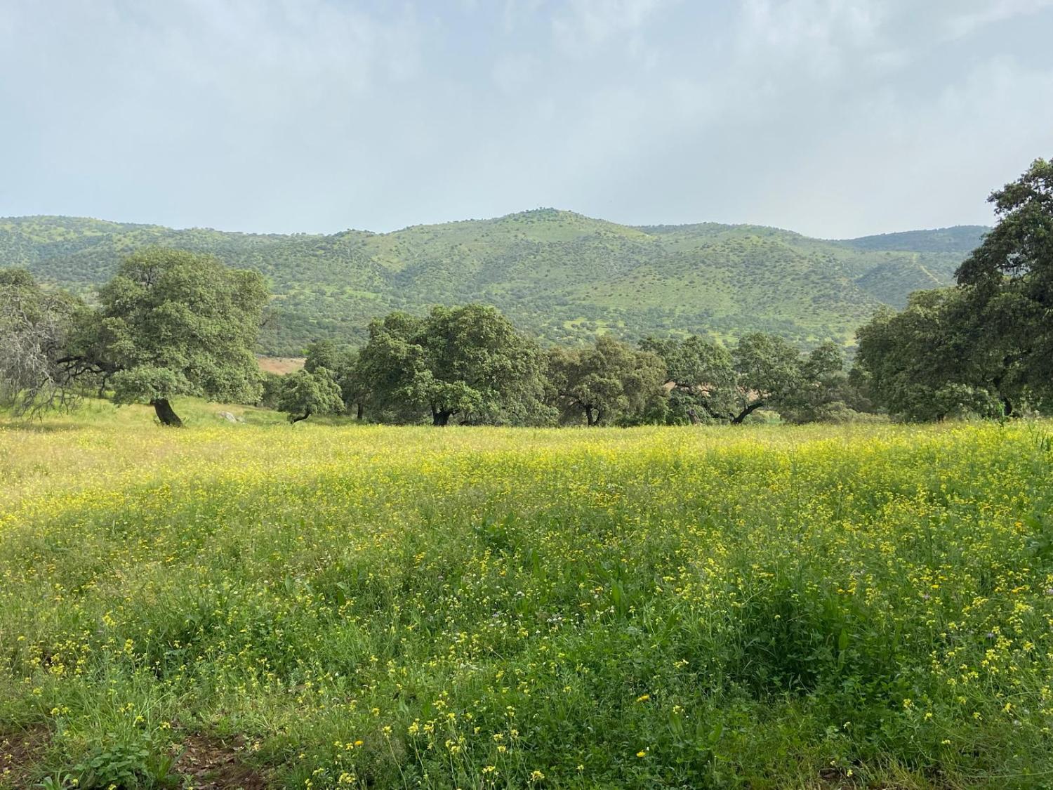  te koop boerderij Cazalla De La Sierra Sierra Norte 4