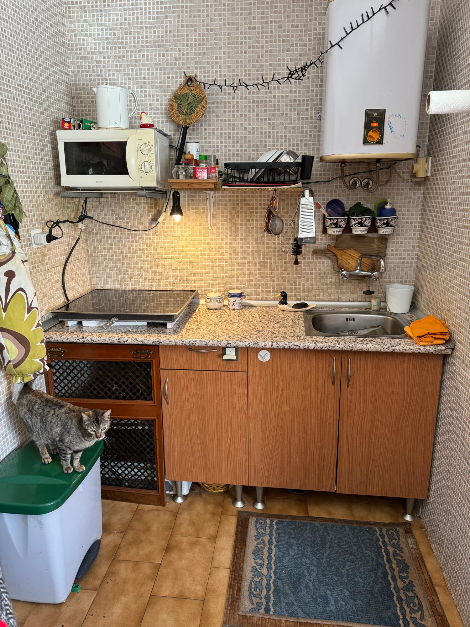  te koop boerderij Arguero Gijón 26