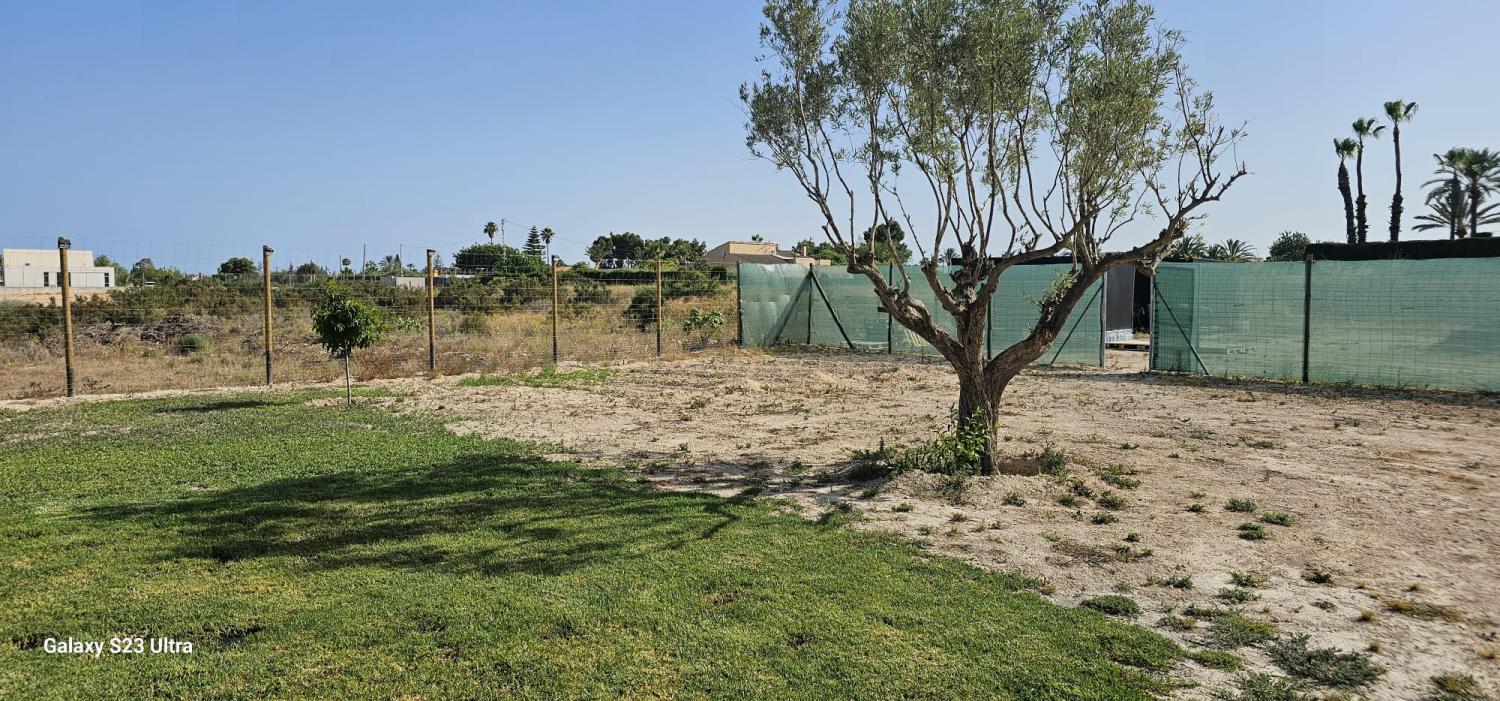  te koop boerderij Perleta Baix Vinalopó 11