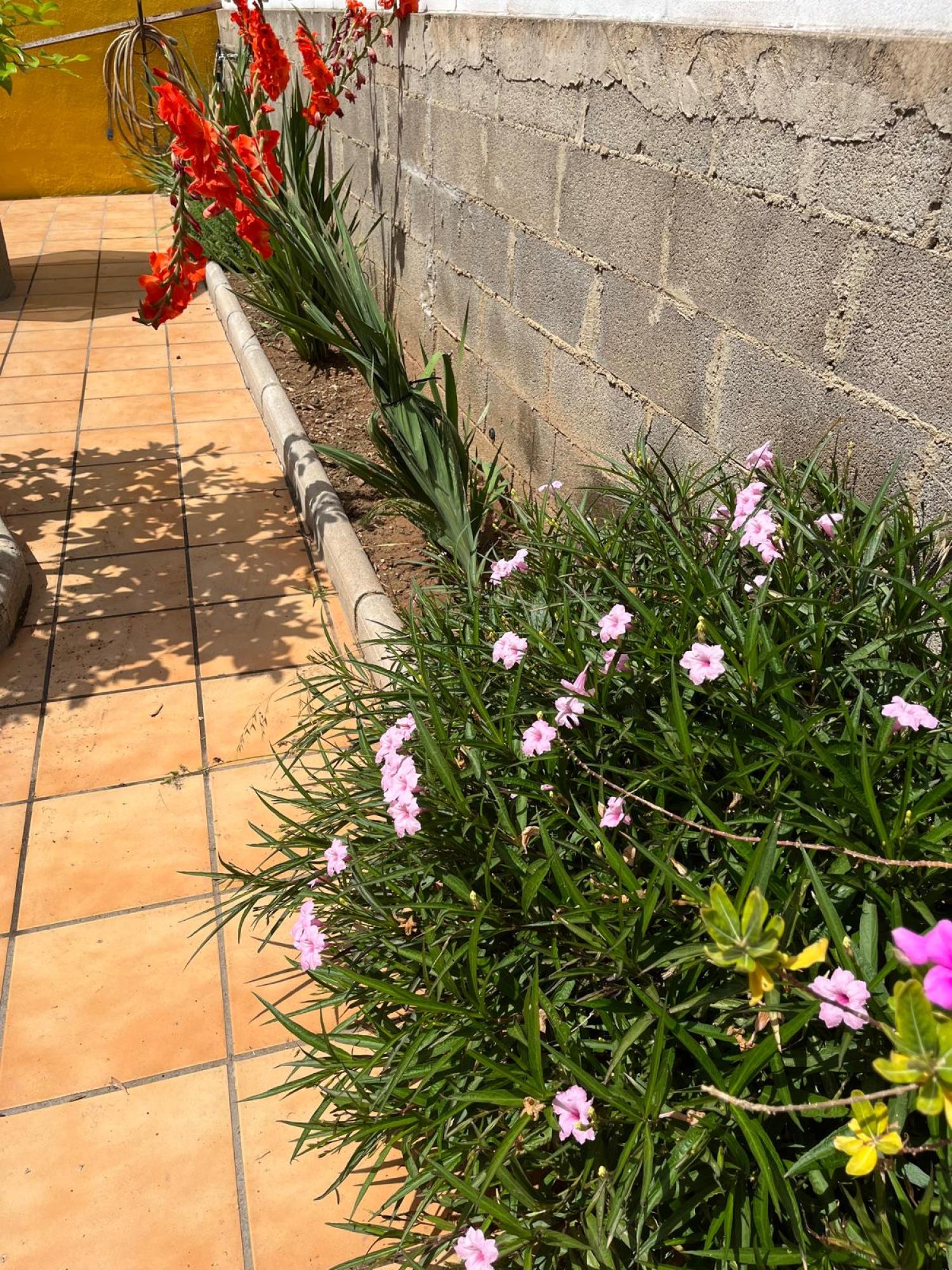  te koop villa Grao Plana Alta 50