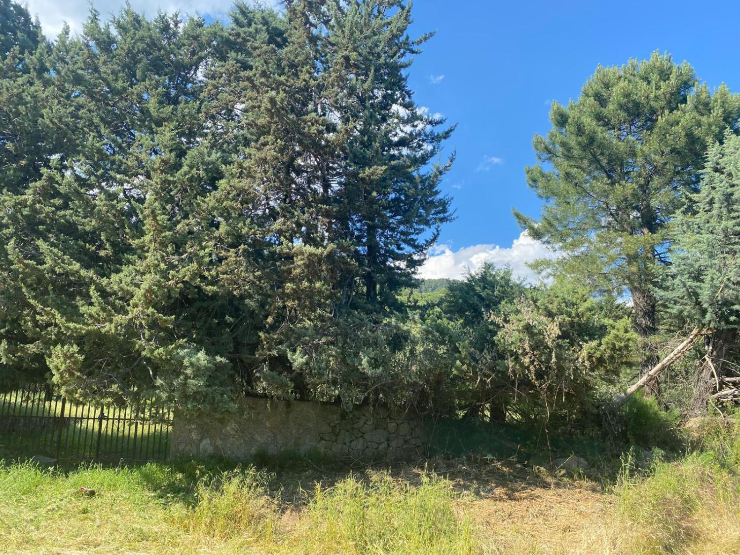  te koop perceel Sotillo De La Adrada Valle Del Tiétar 7