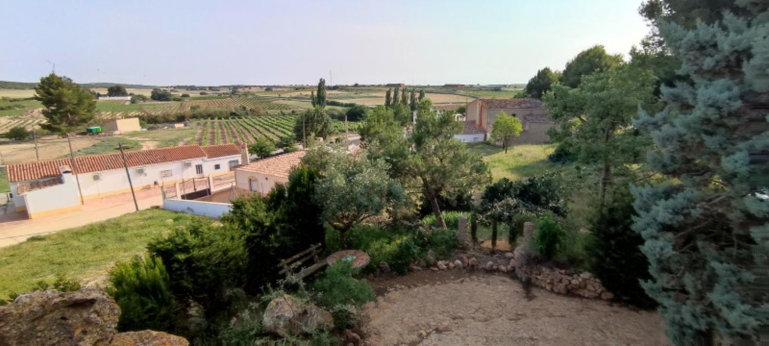  te koop huis La Higuera Monte Ibérico Almansa 38