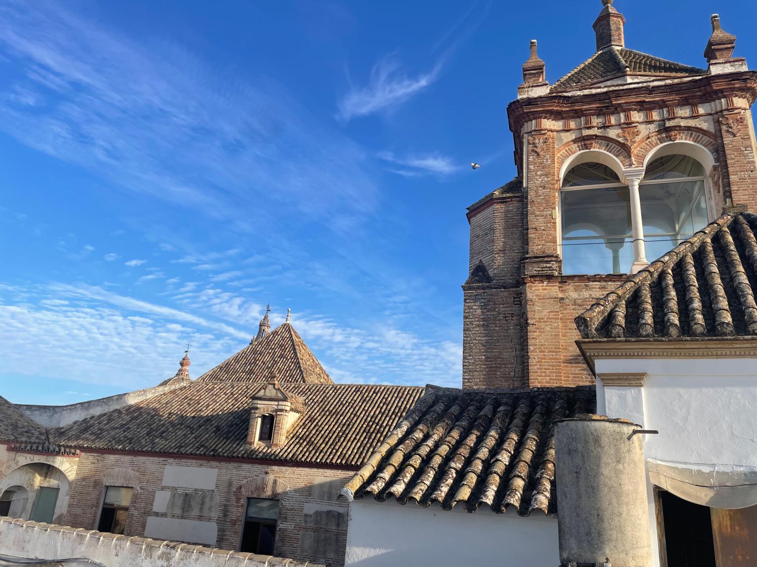  te koop huis Écija Écija 38