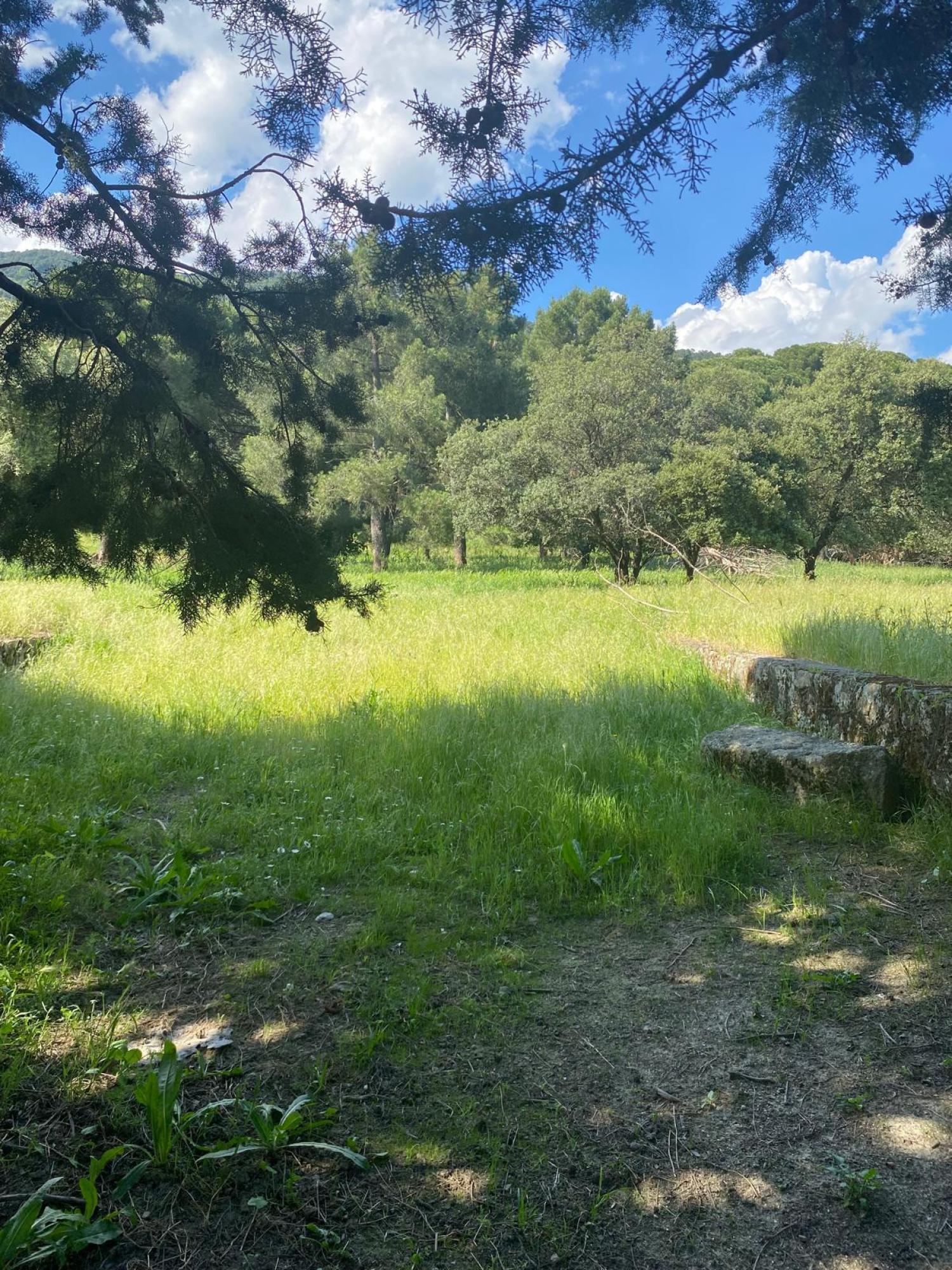  te koop perceel Sotillo De La Adrada Valle Del Tiétar 8
