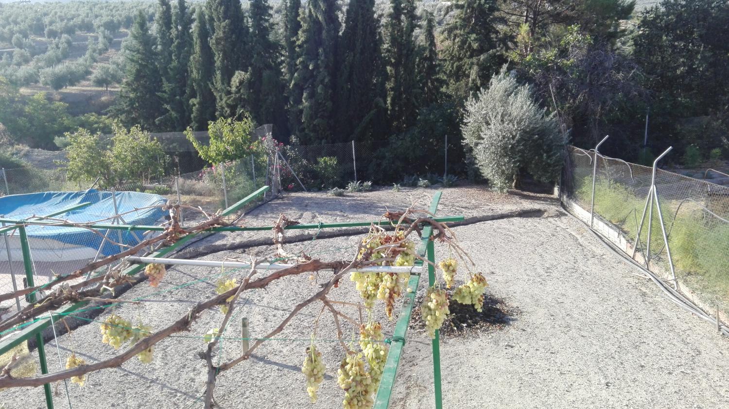  te koop rijtjeshuis Gutar Villas (Las) 18