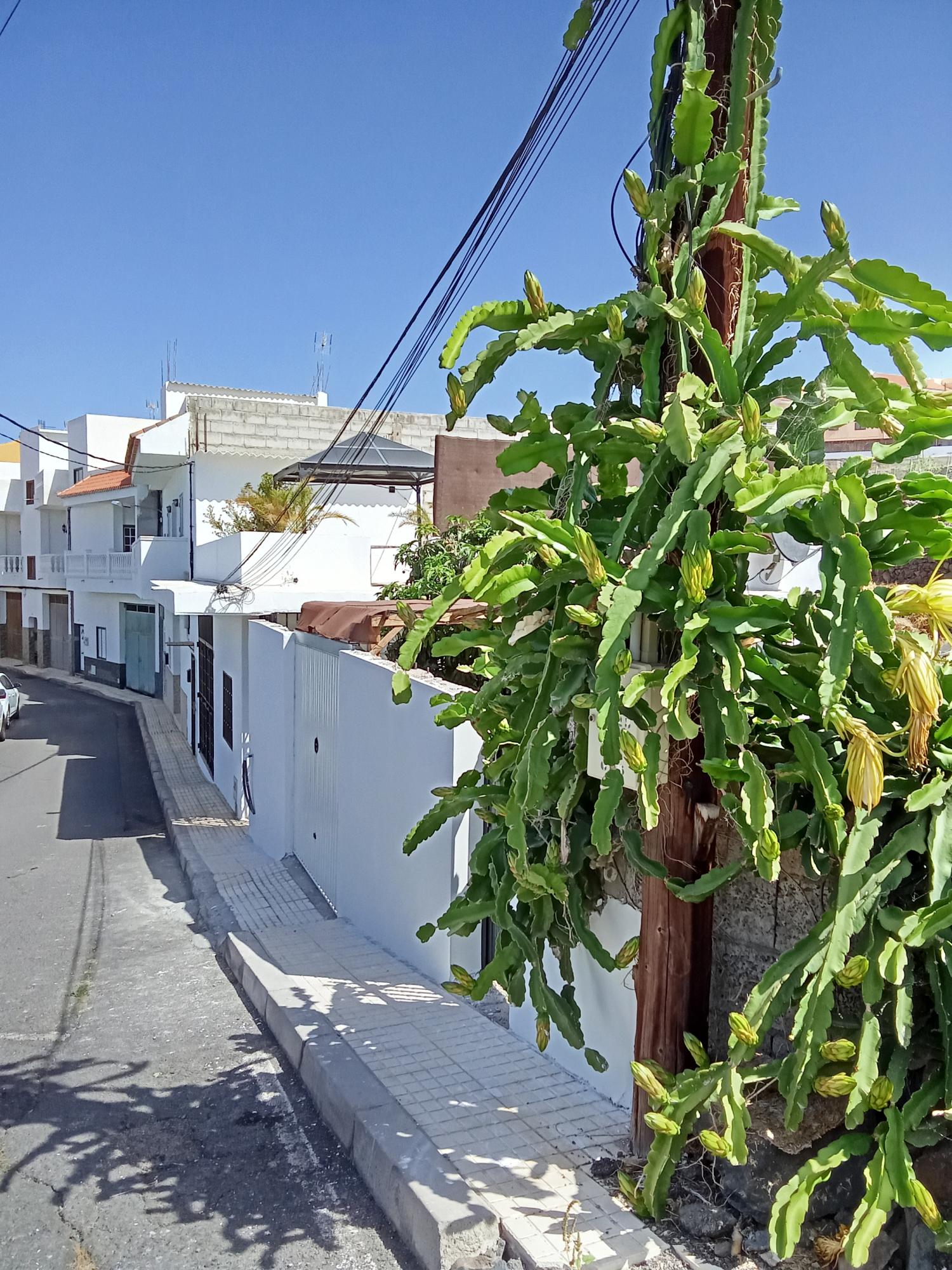  te koop villa Los Menores Zona Sur 20