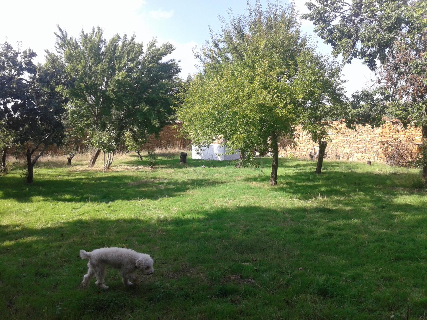  te koop boerderij Val De San Lorenzo Astorga 11