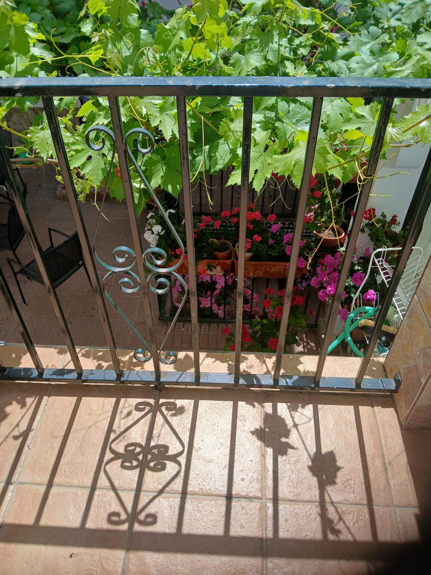 te koop huis Cabra Subbética 21