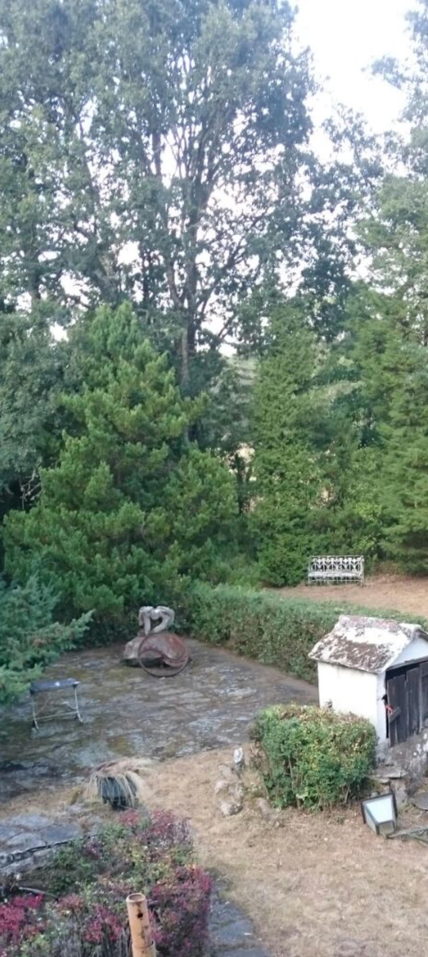  te koop boerderij Begonte Terra Chá 3