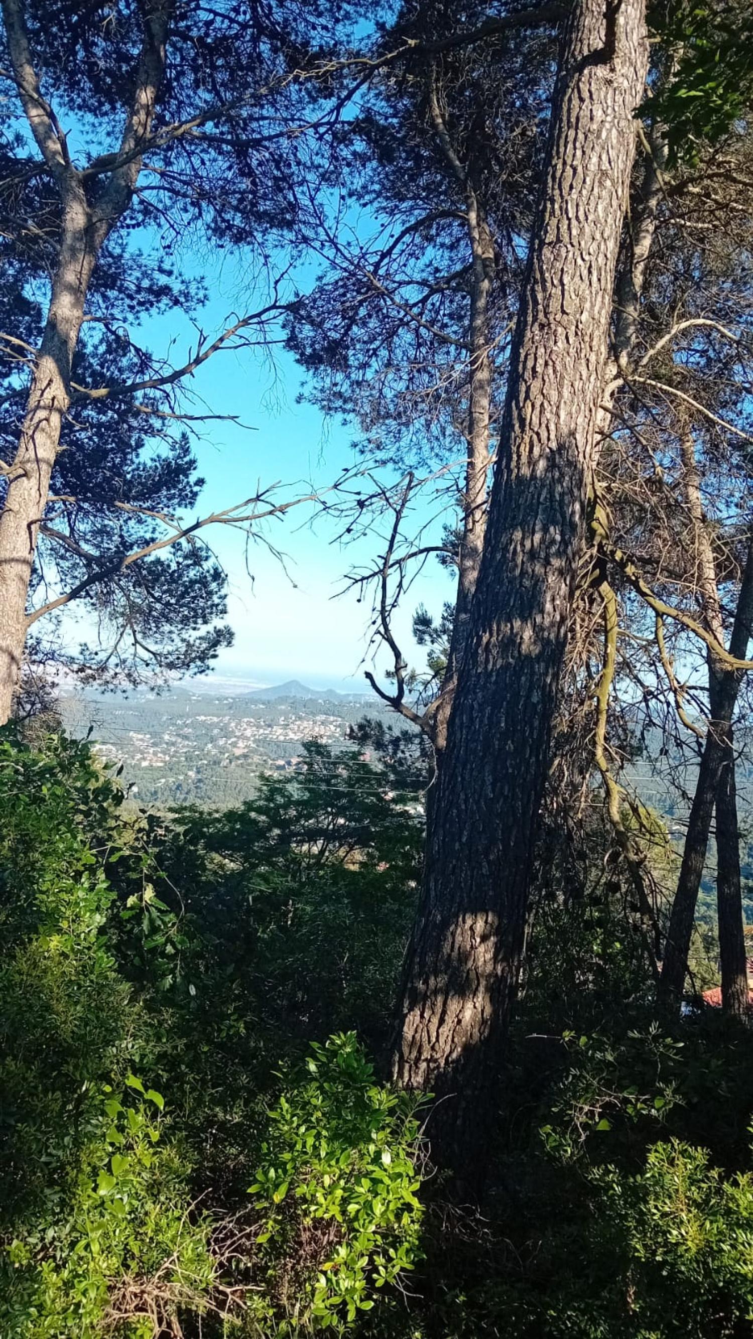 te koop perceel Corbera De Llobregat Baix Llobregat 2