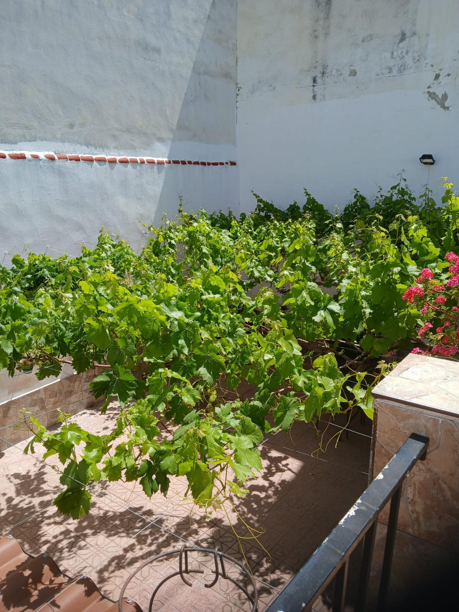  te koop huis Cabra Subbética 20
