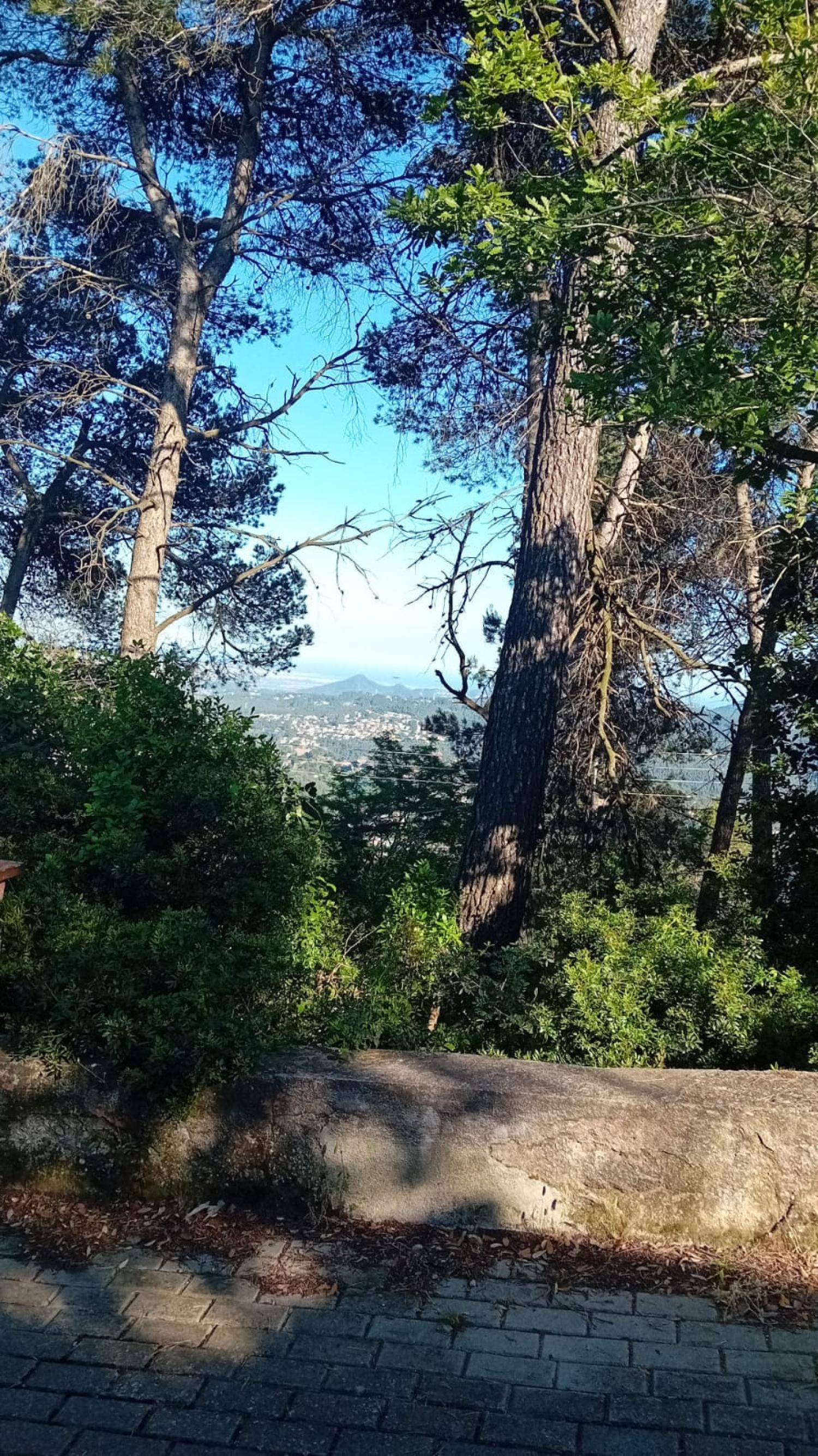 te koop perceel Corbera De Llobregat Baix Llobregat 3