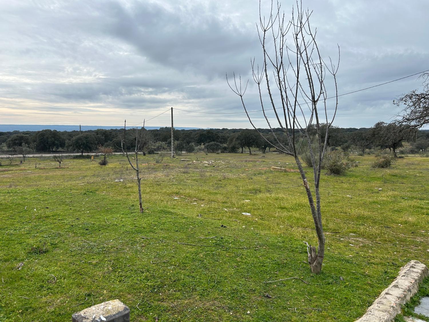  te koop boerderij Serradilla Monfragüe 23