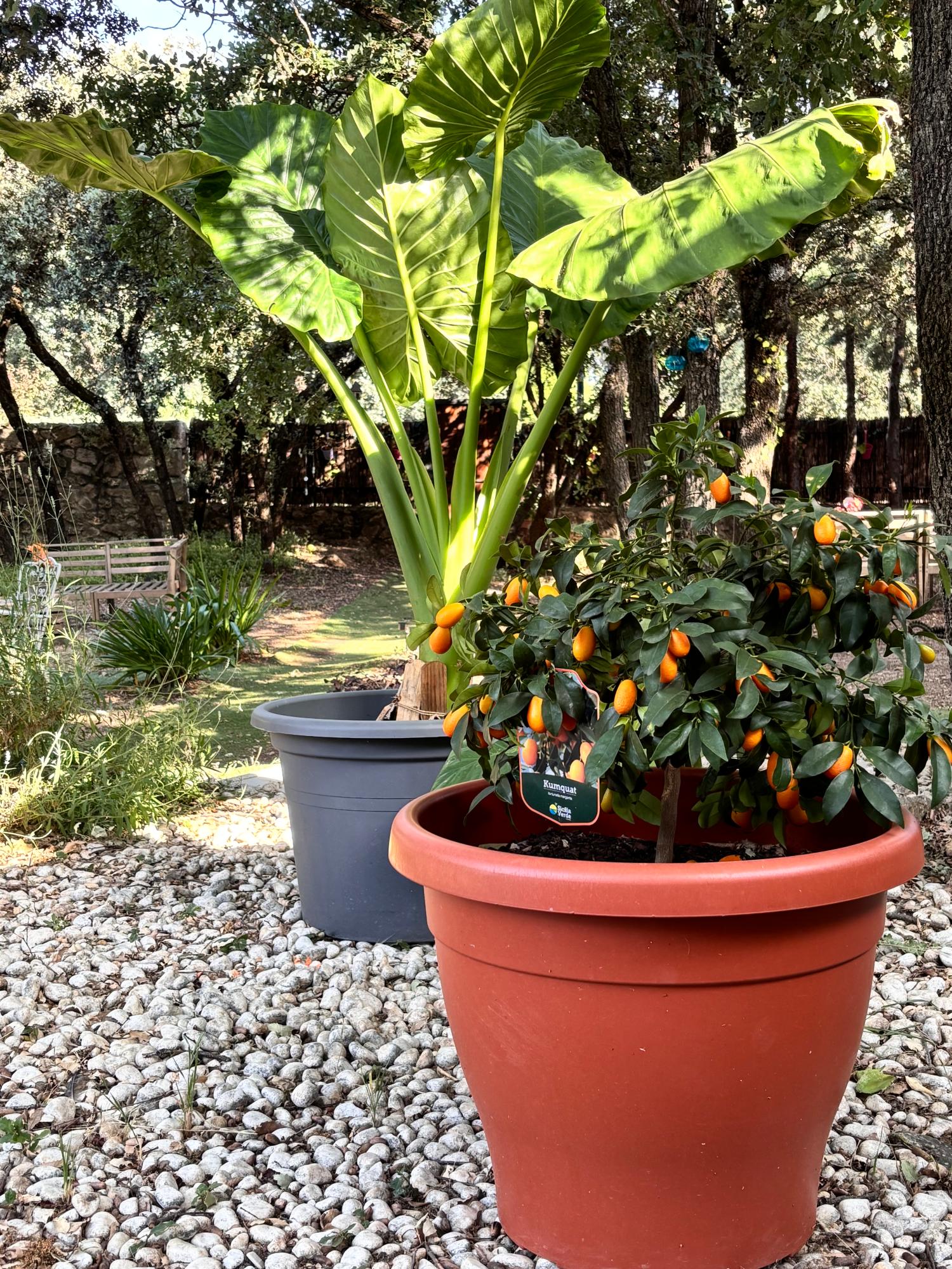 te koop villa Cotos De Monterrey Sierra Norte 38