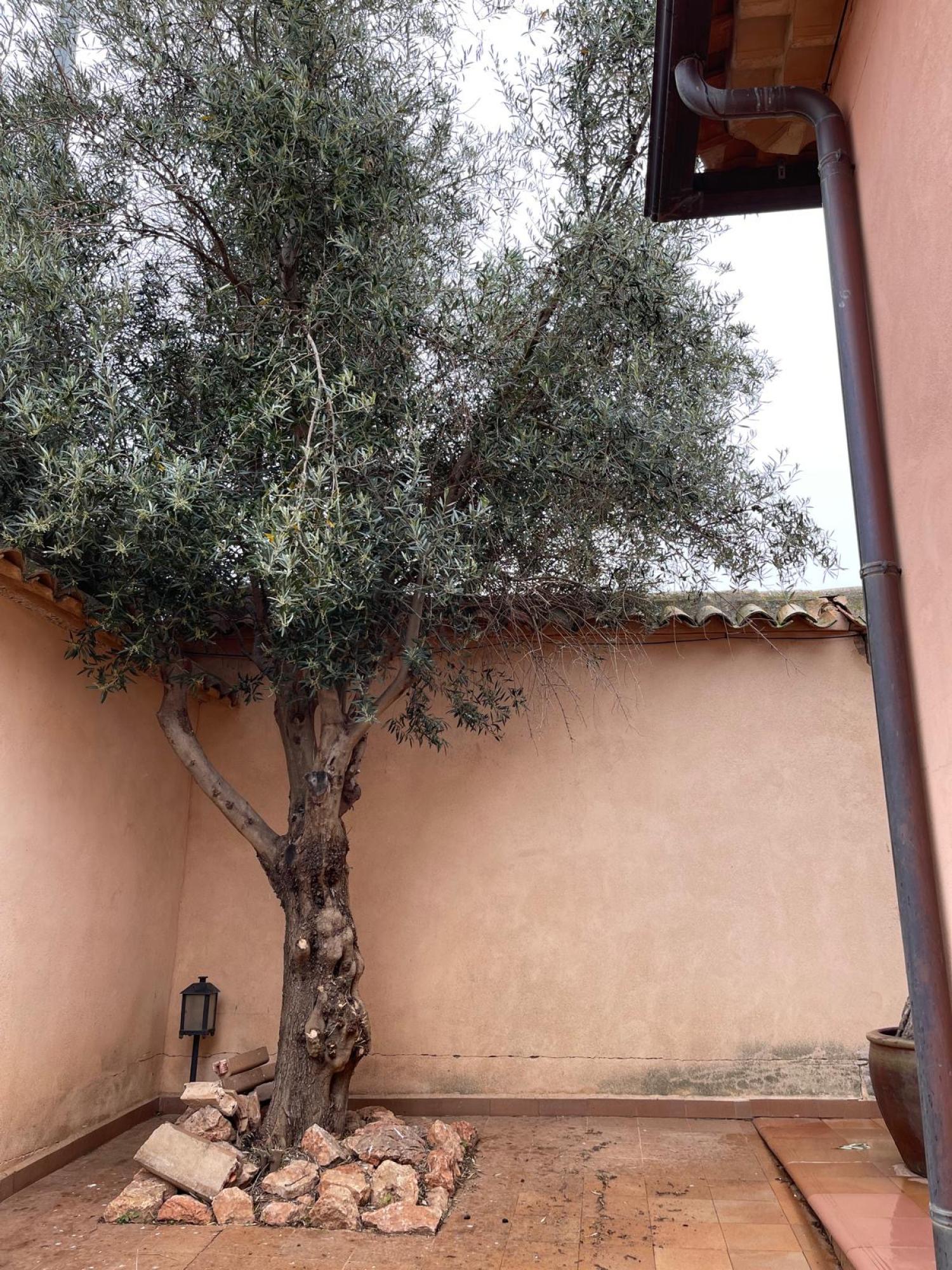 te koop villa Ossa De Montiel Sierra De Alcaraz 13