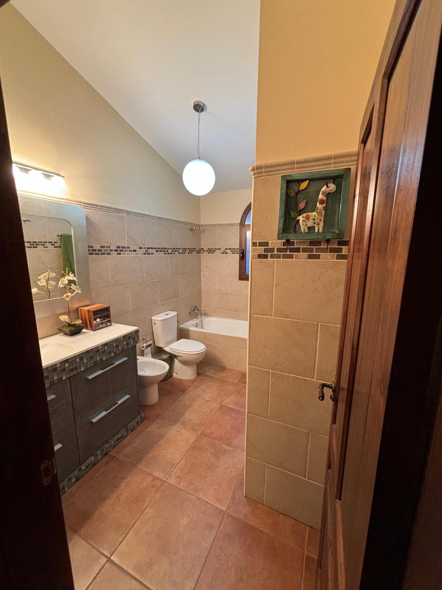 te koop villa Bigastro Baix Segura 19