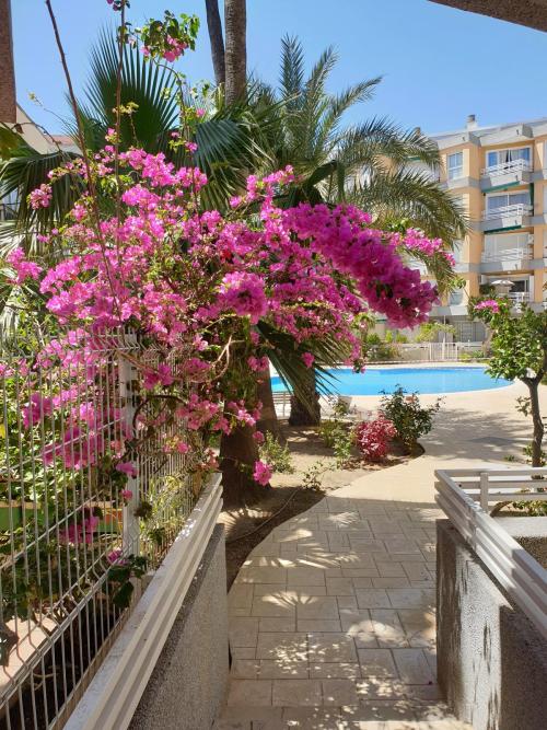 Salou Tarragonès appartement foto 6291744