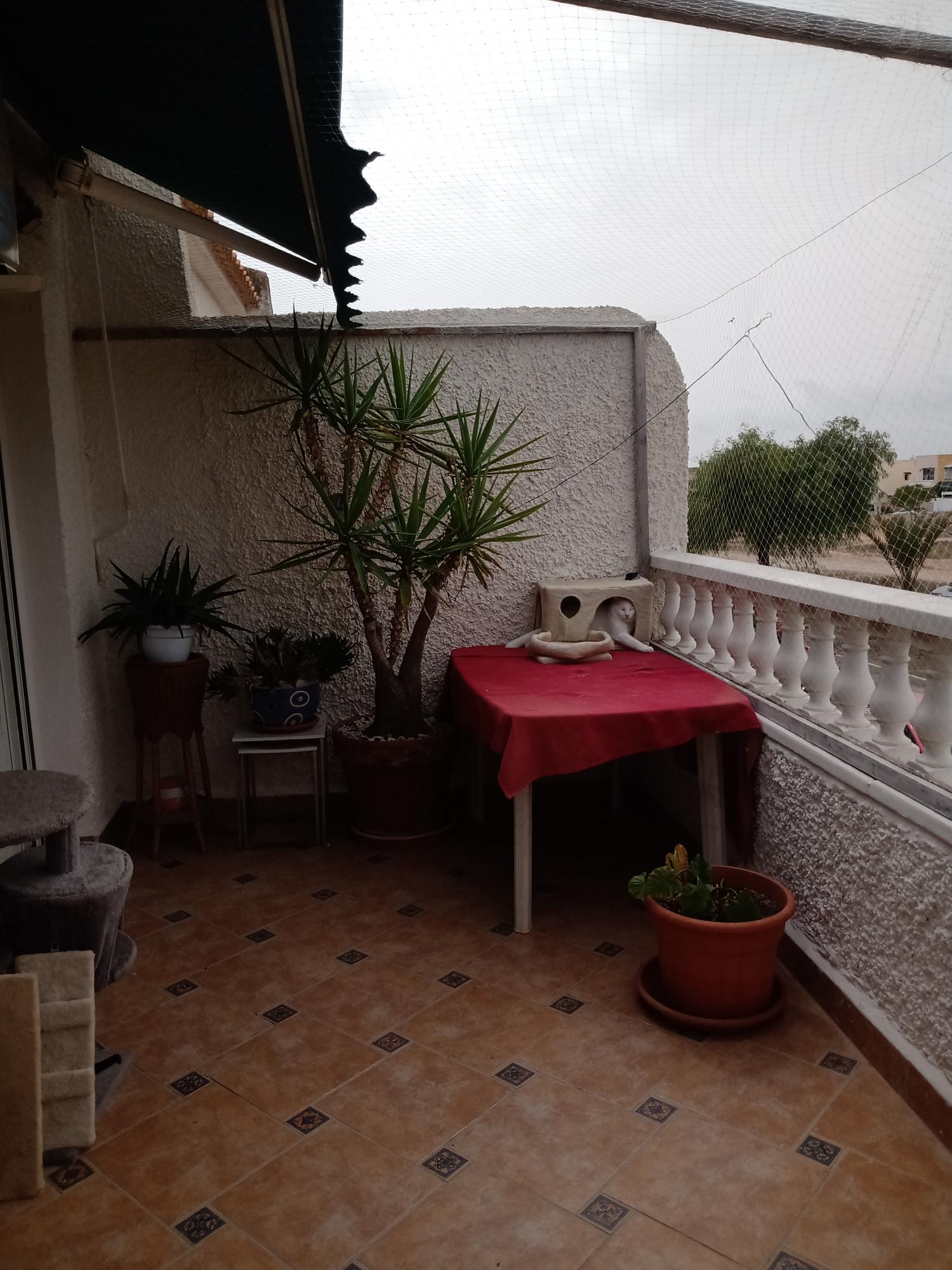  te koop twee-onder-een-kapwoning Orihuela Costa Baix Segura 6