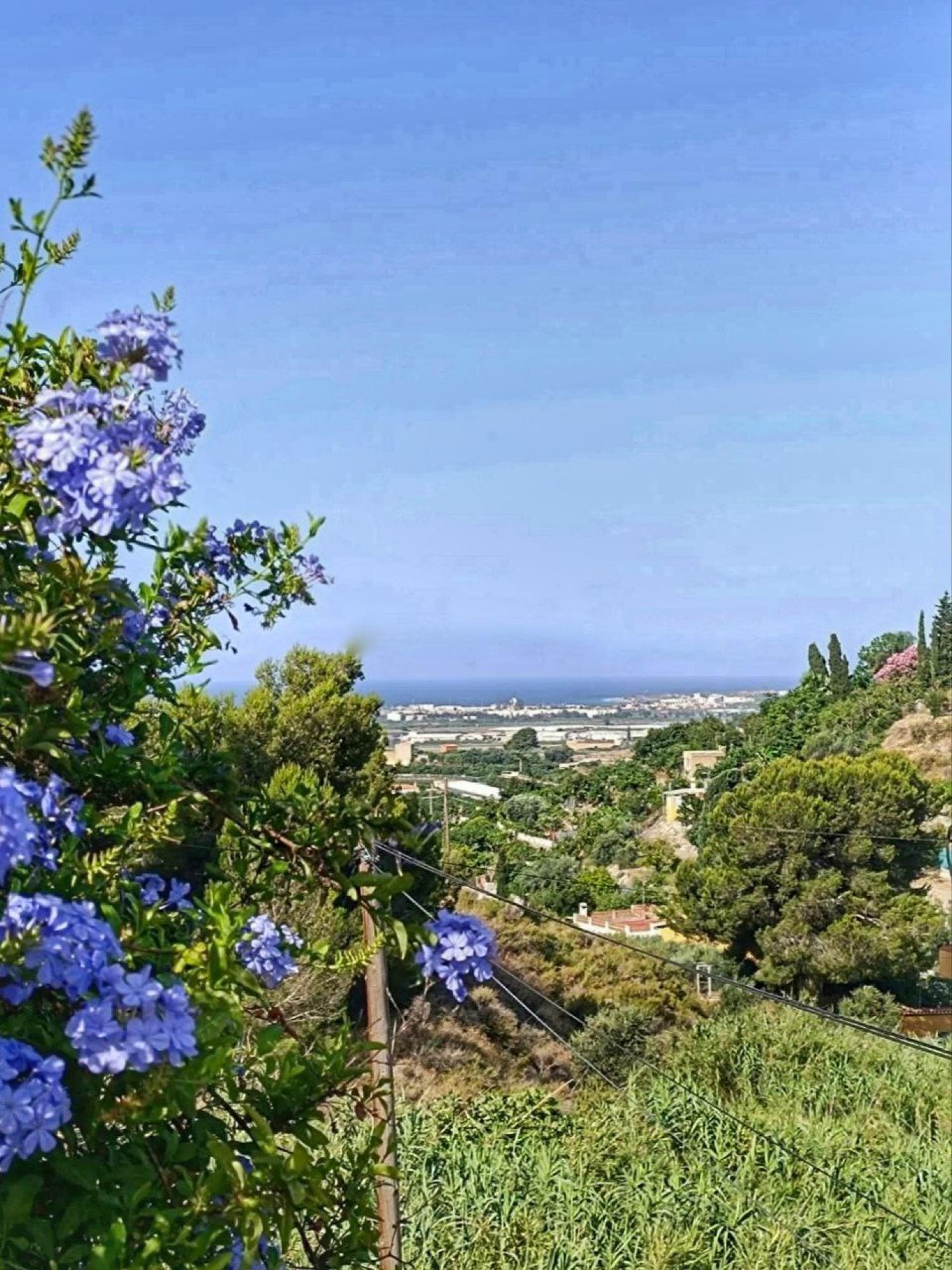  te koop boerderij Motril Costa Tropical 28