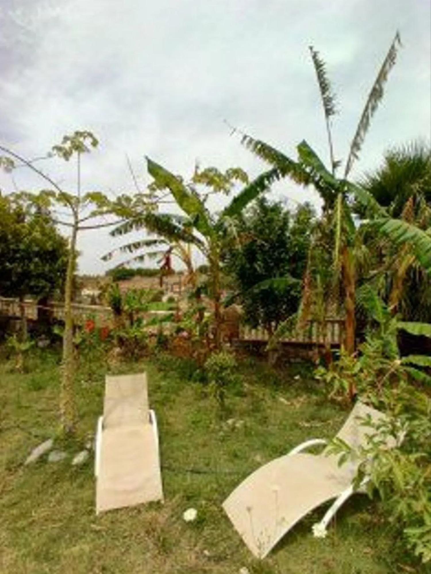  te koop boerderij Motril Costa Tropical 26