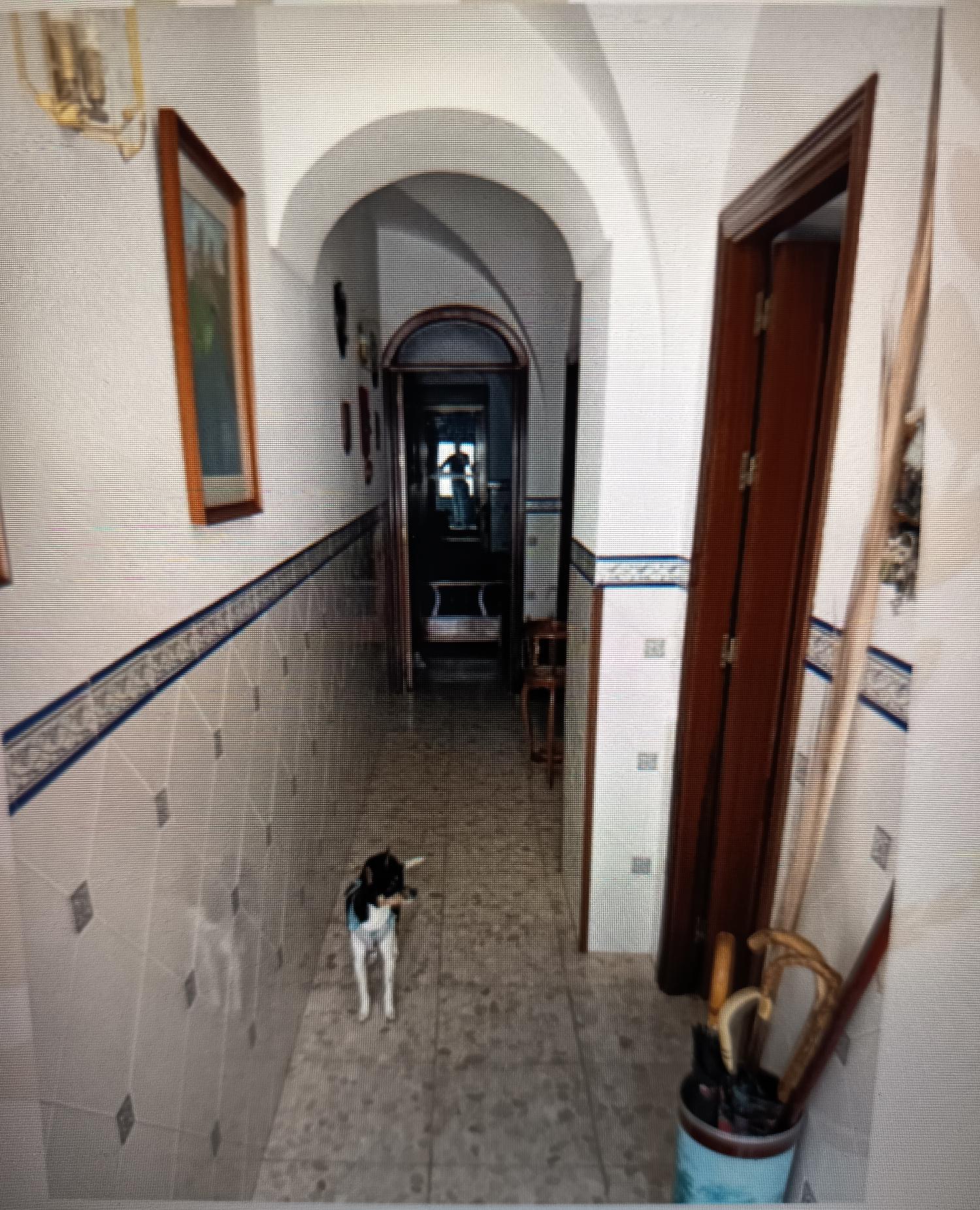  te koop huis Cardeña Pedroches (Los) 2